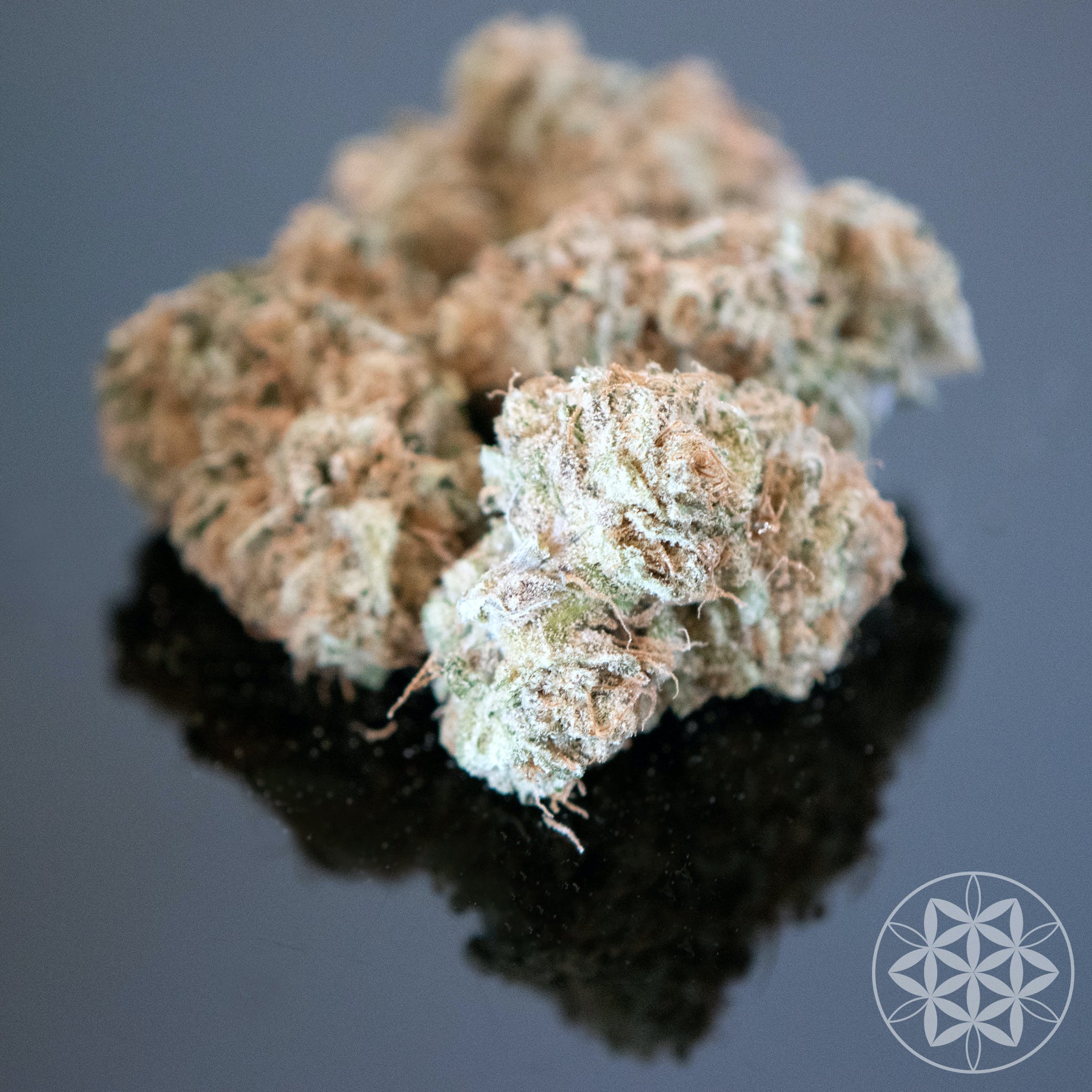 Hindu Kush