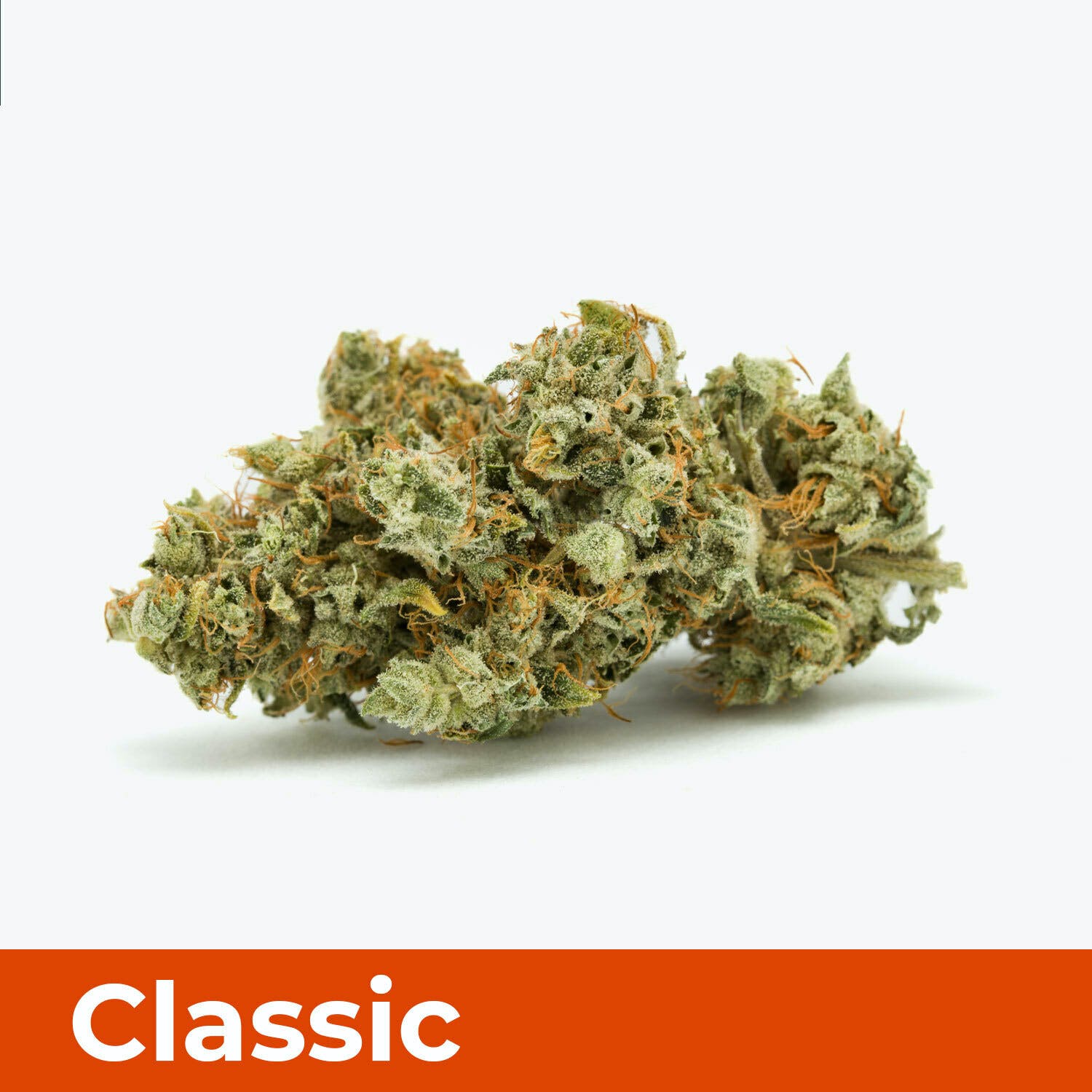 Original Glue (GG4)