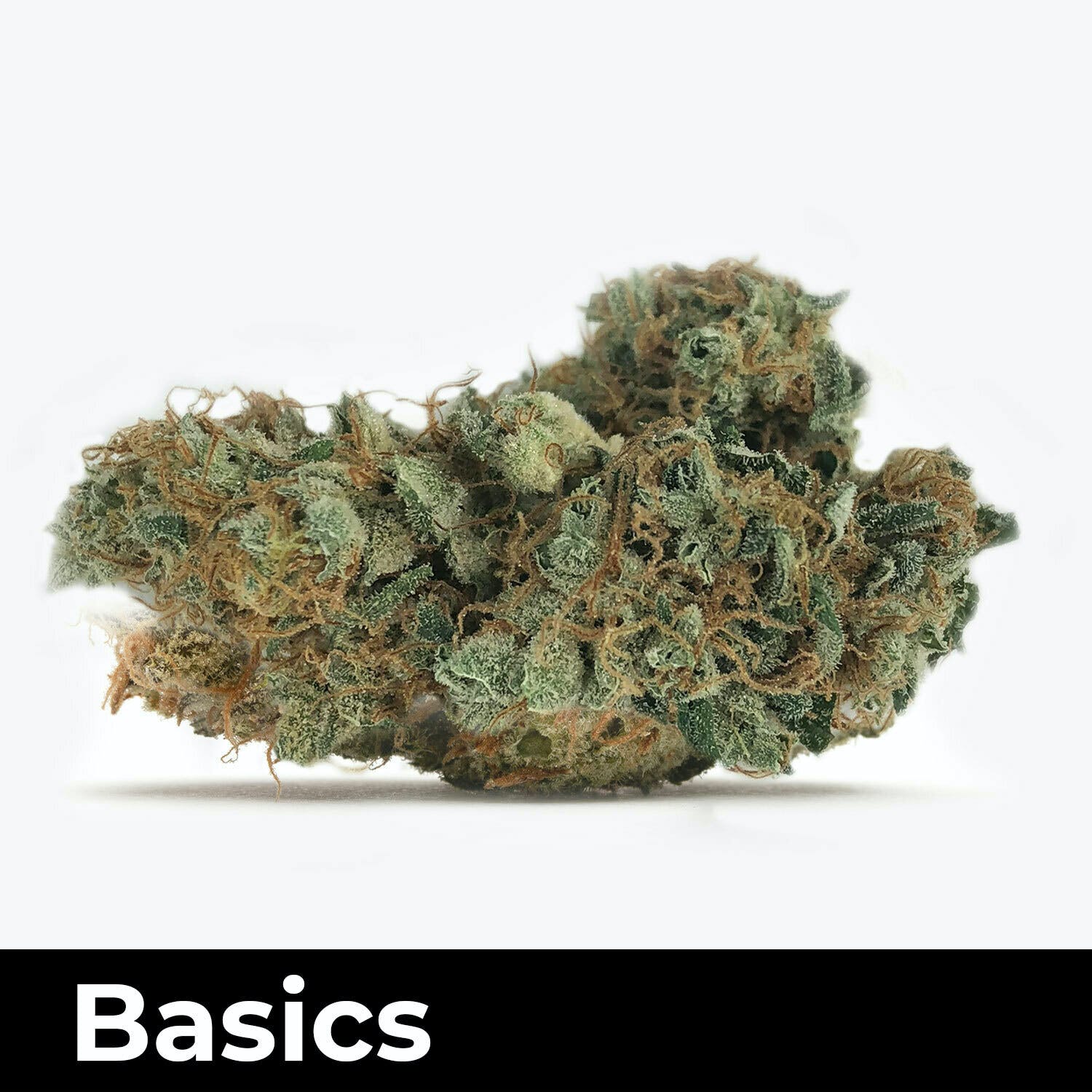 White Walker Kush