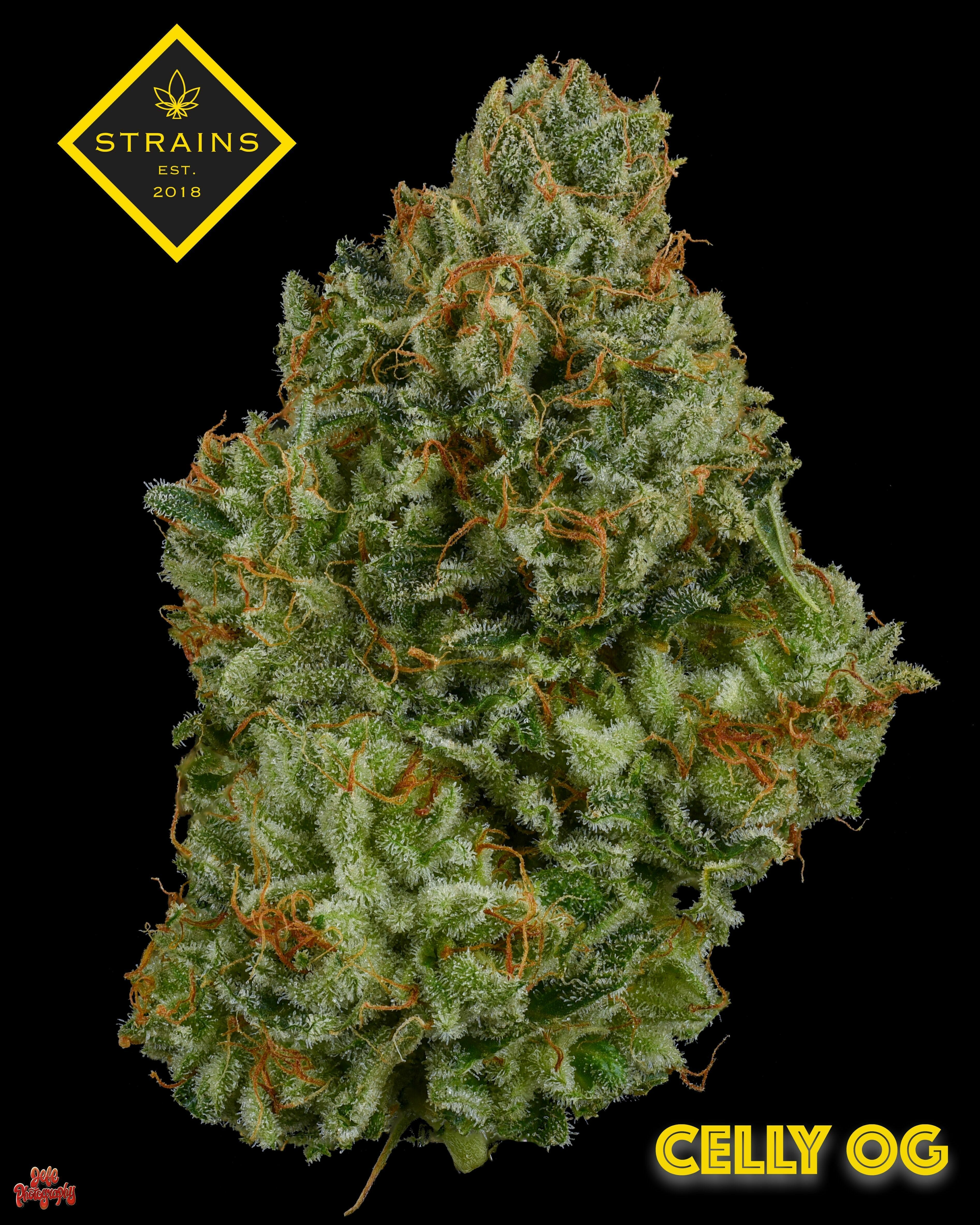 Celly OG 3.5G