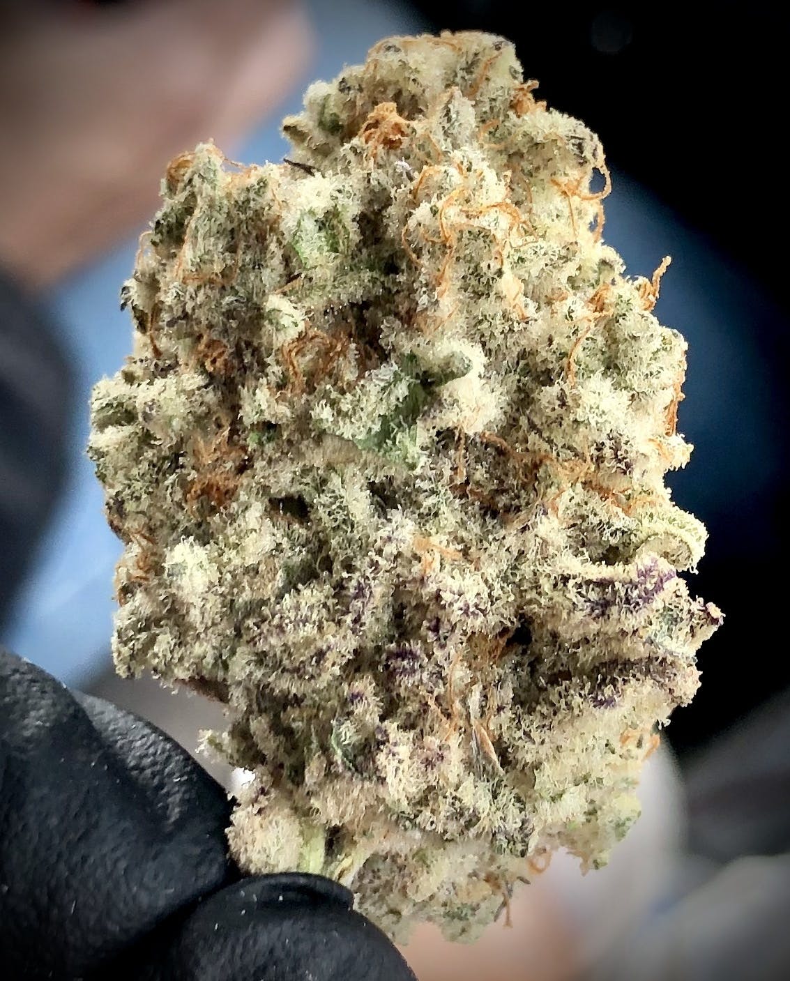 MAC (Miracle Alien Cookies)
