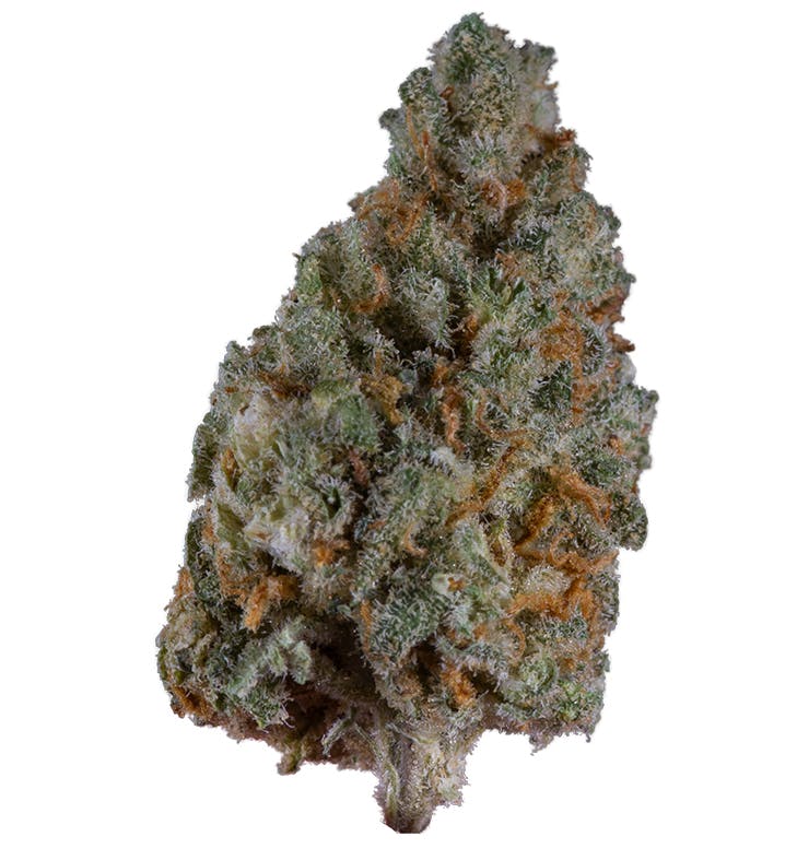Berry White Sherbet