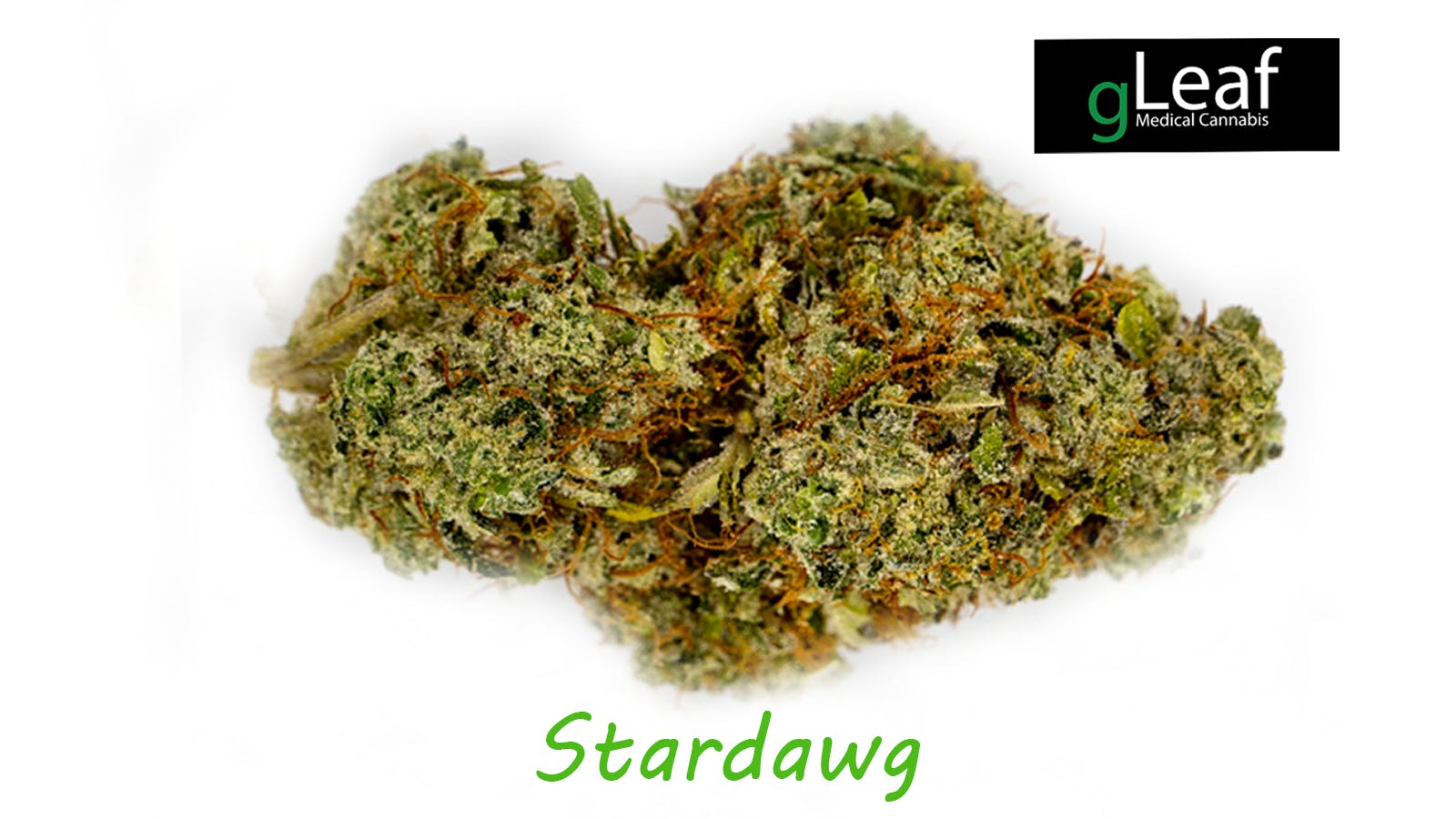 STARDAWG