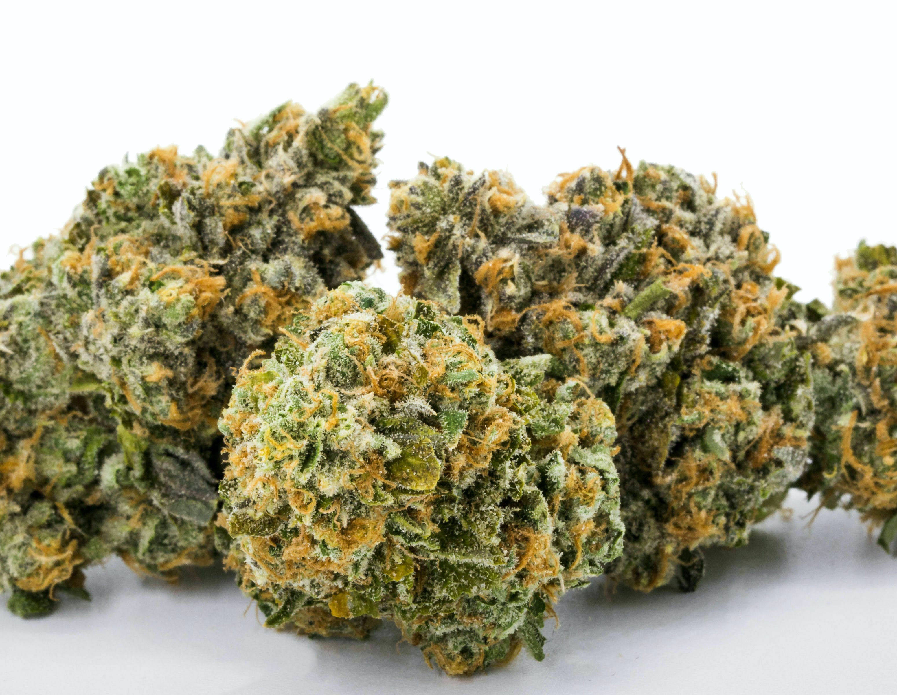 Key Lime Pie