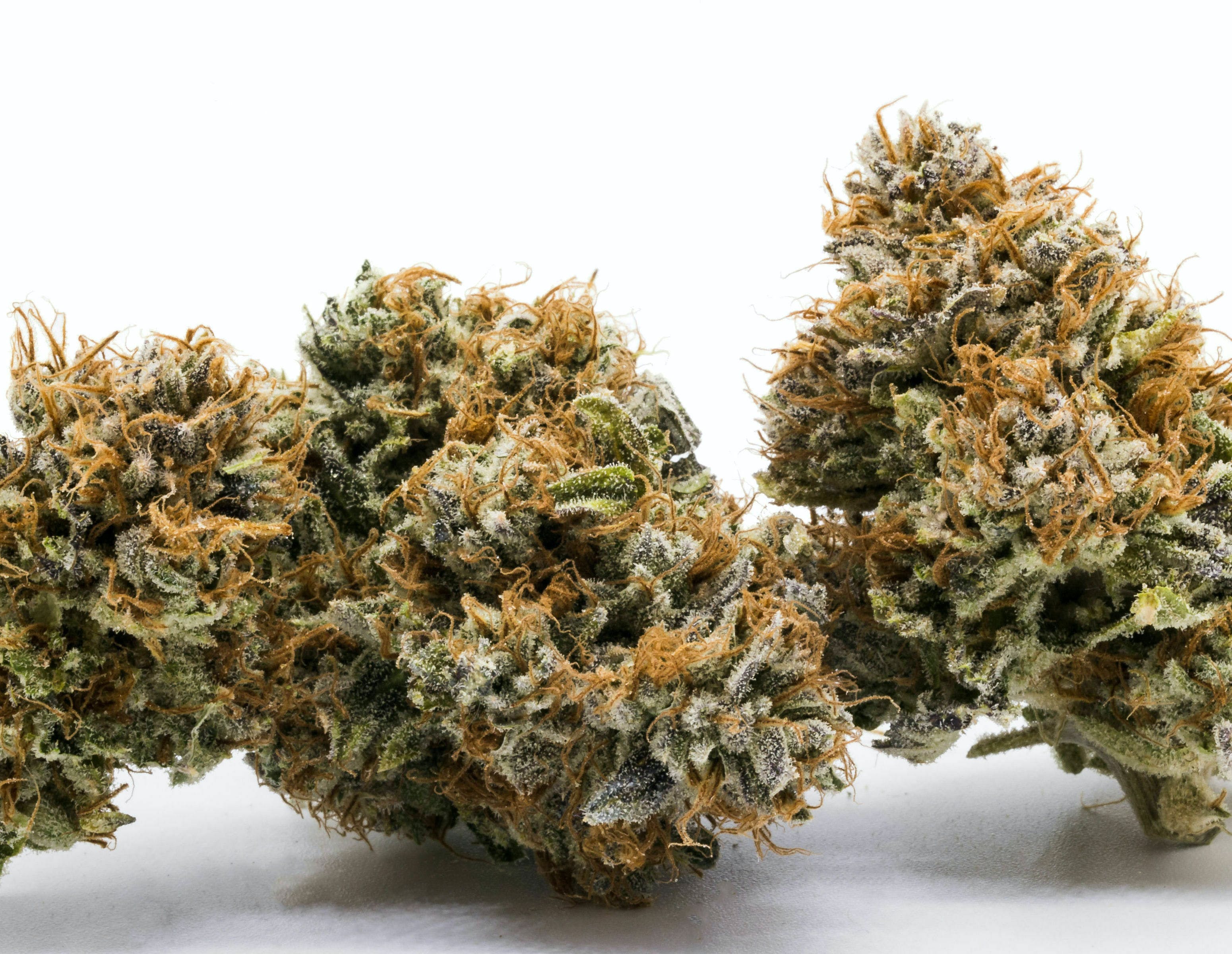 Sundae Driver