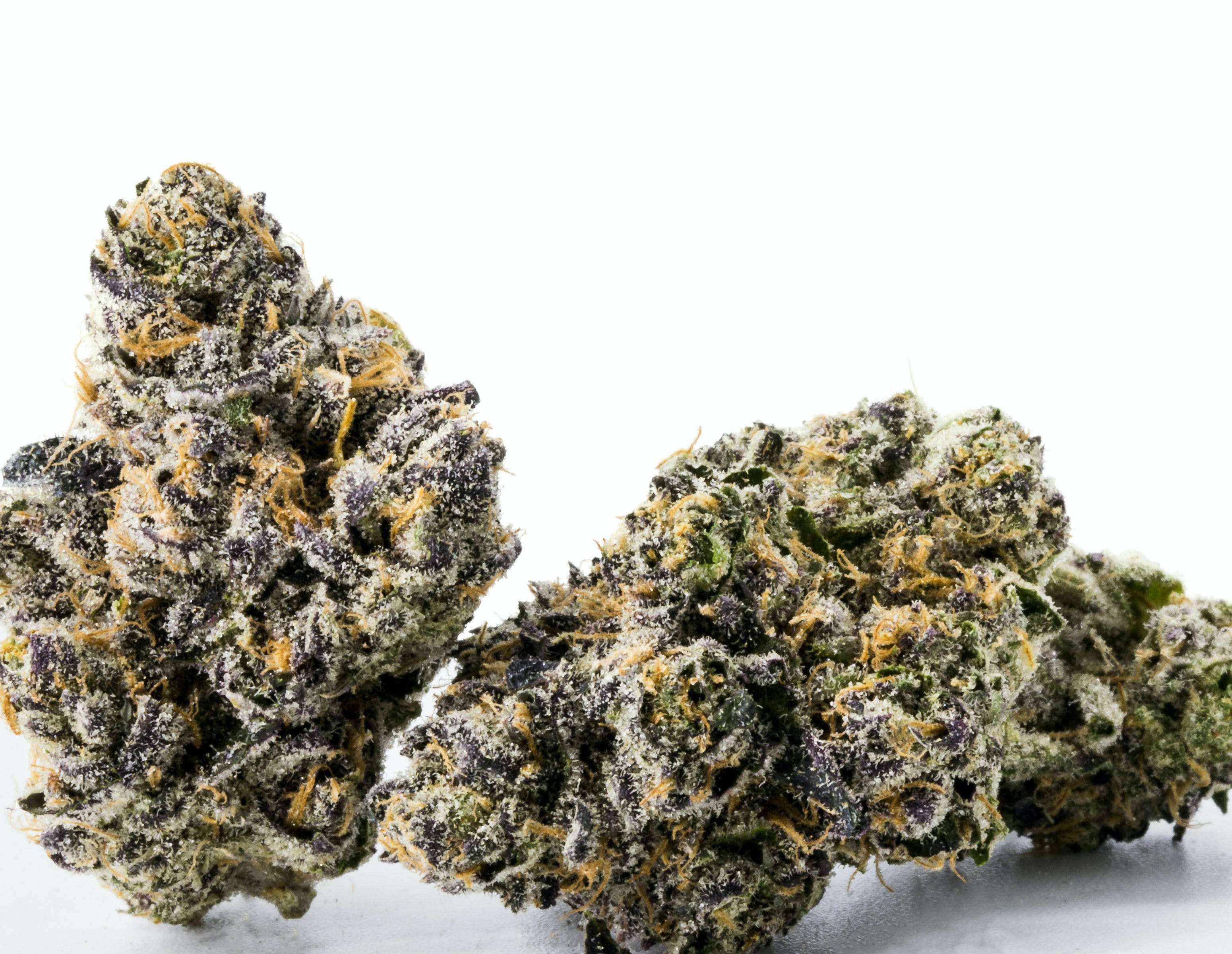 Sunset Sherbet