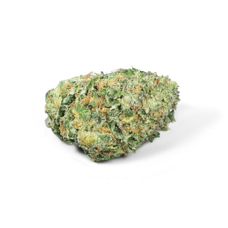 Kimbo Kush