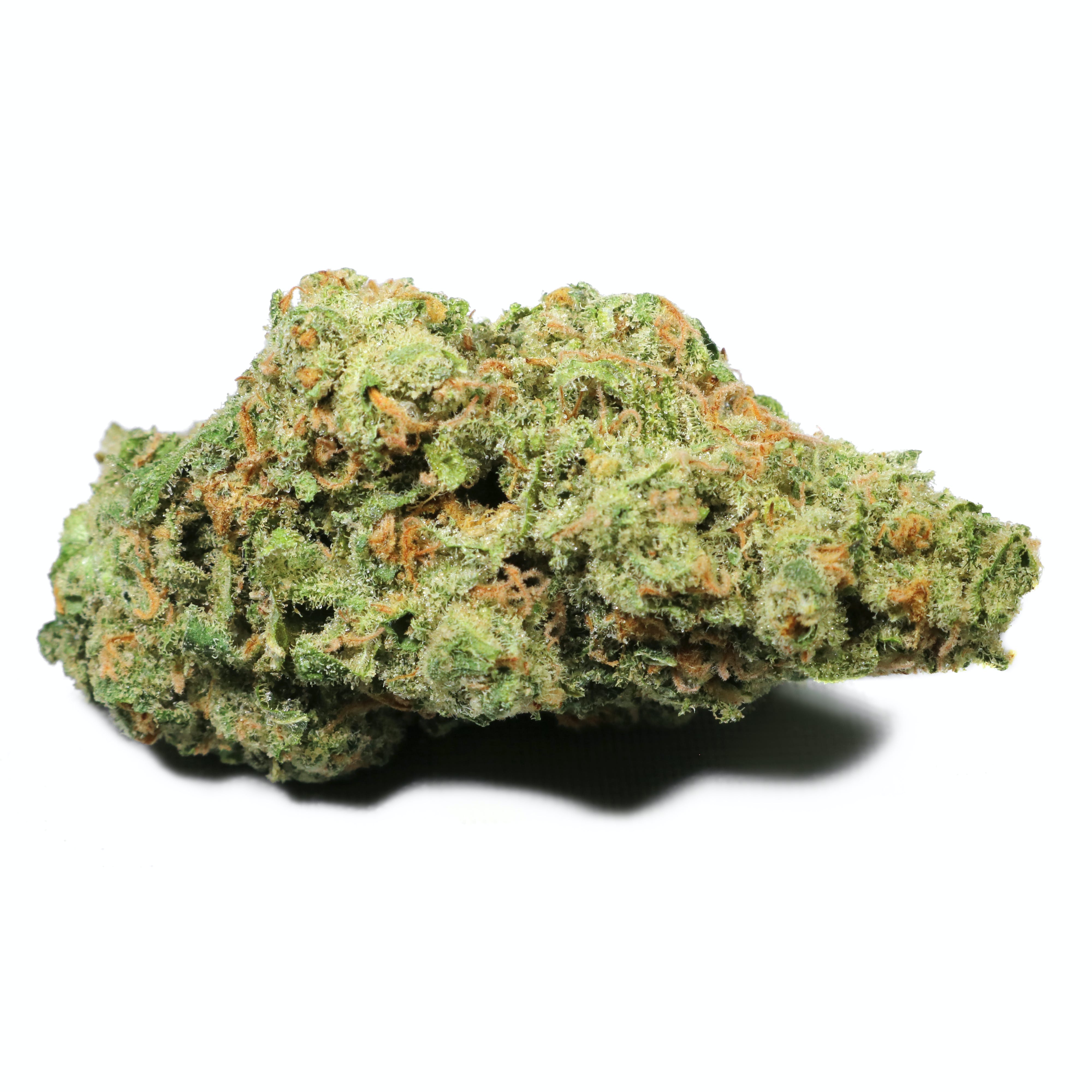 Jack Herer