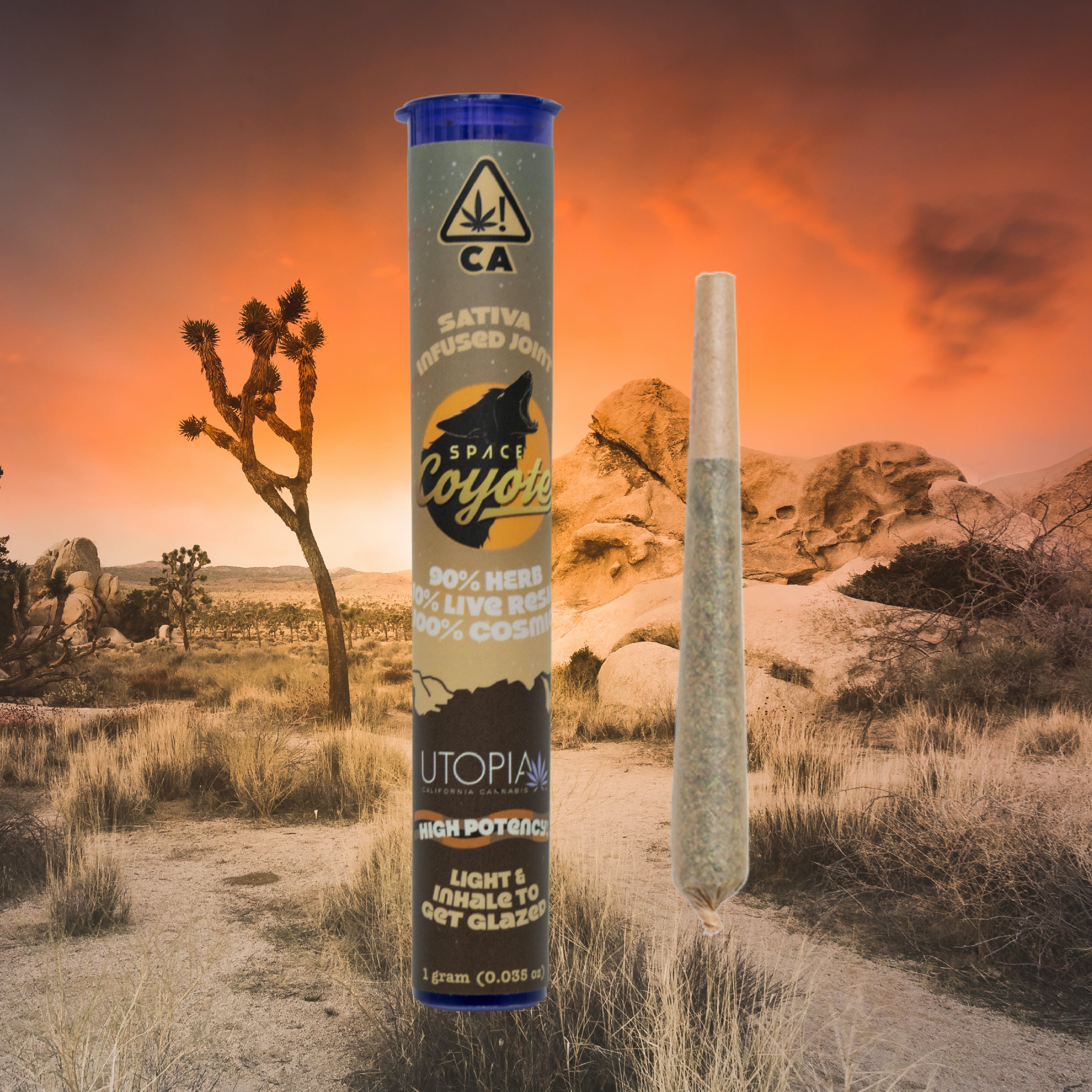 Space Coyote Sativa Live Resin Joint