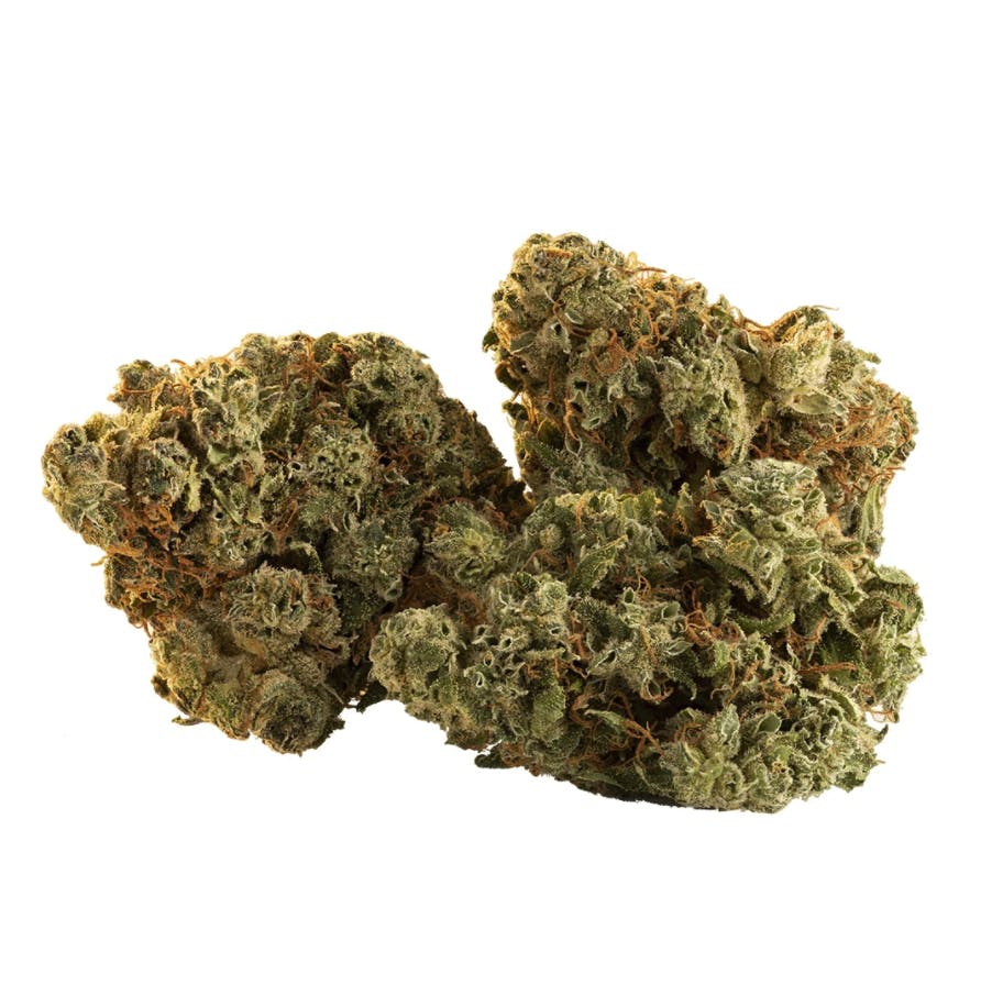 Spark Buds