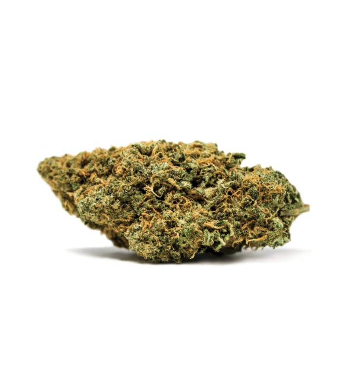 White Widow