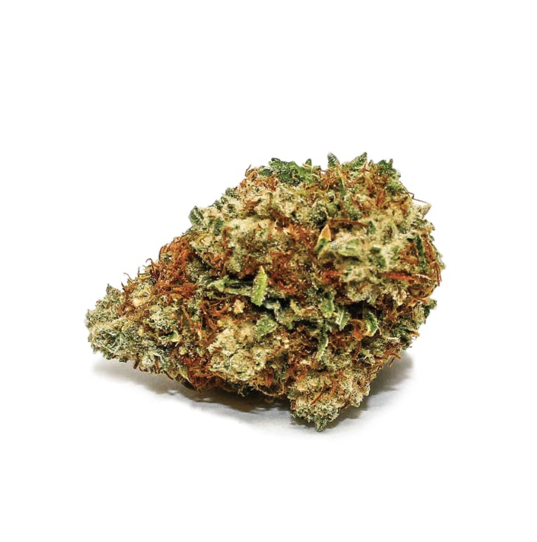 Sensi Star