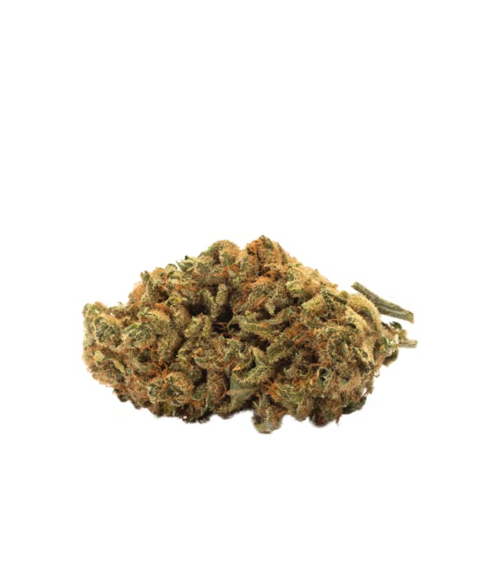 Indica