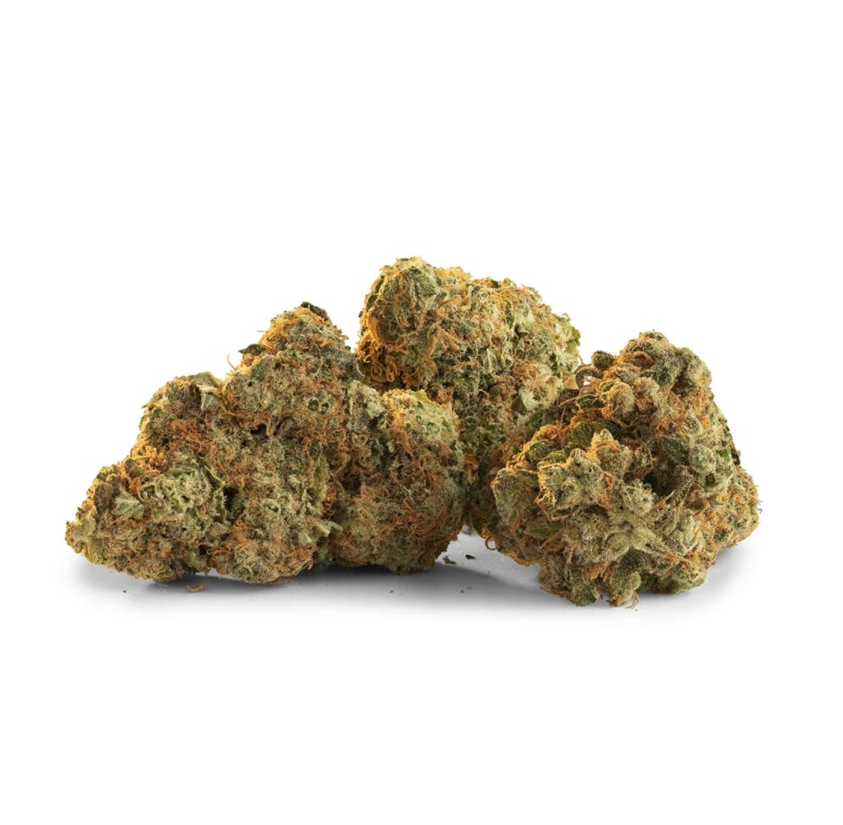 Glow Hybrid Bud