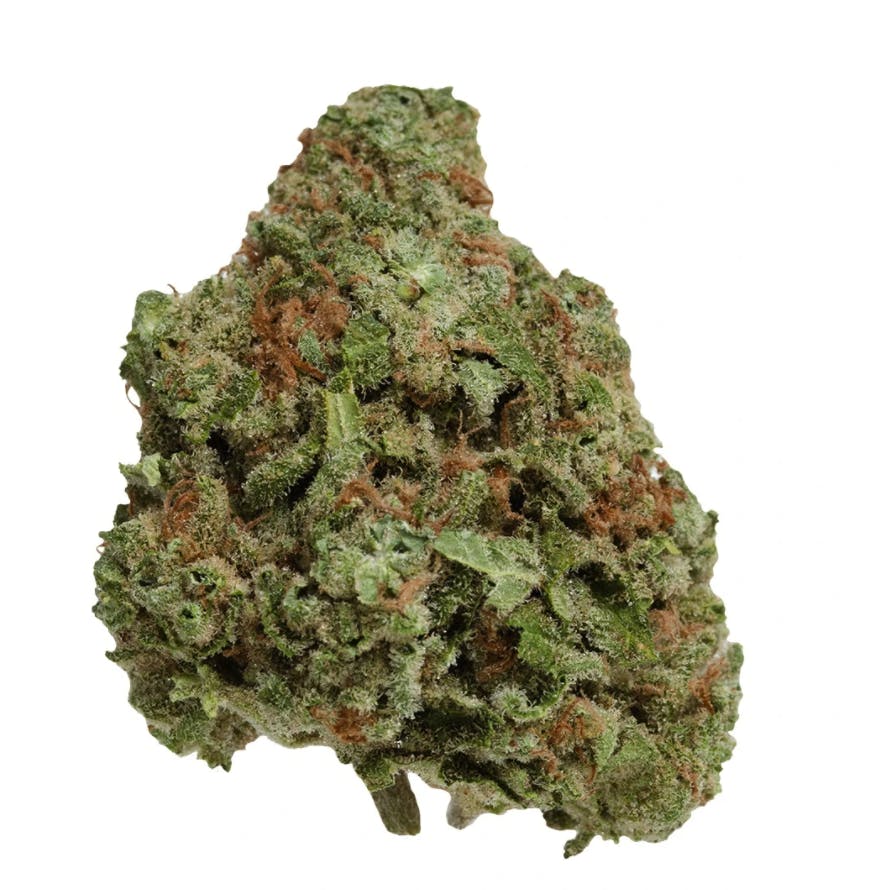 Northern Berry UP20