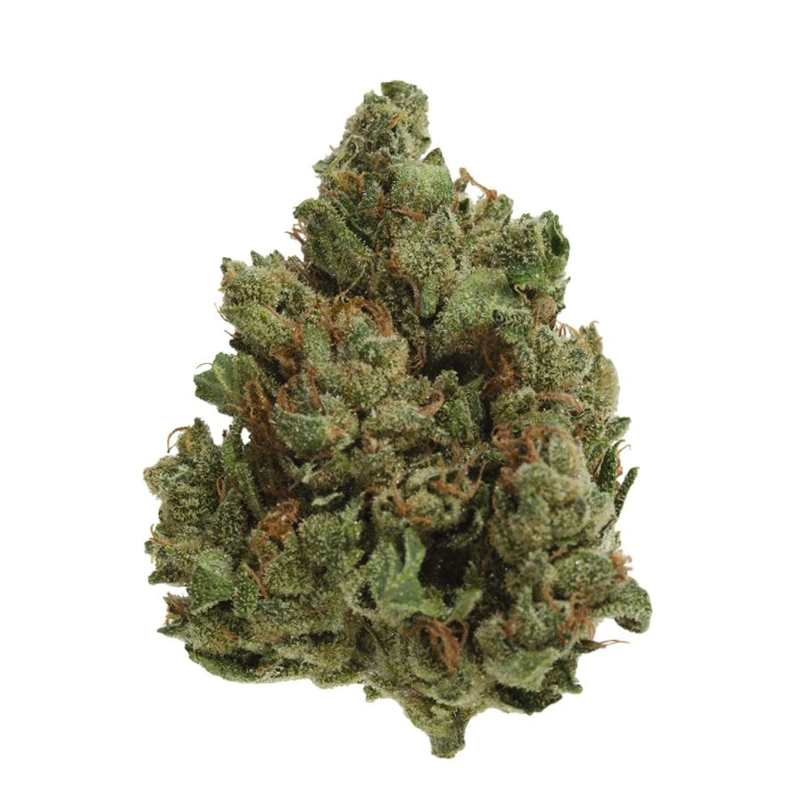 Cold Creek Kush UP20