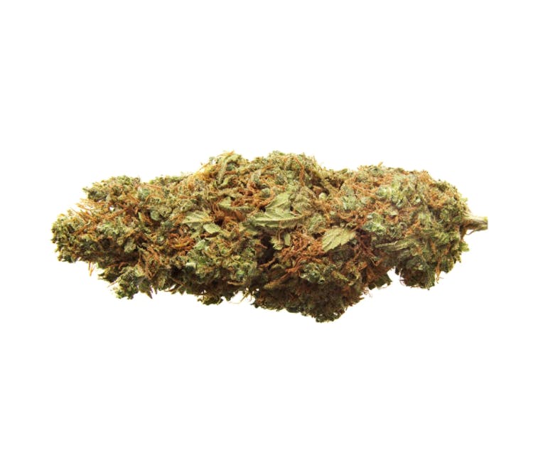 BC Organic Creek Congo