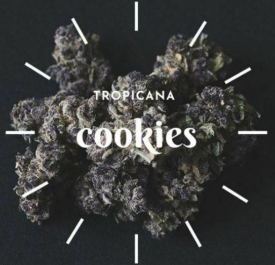 Tropicana Cookies
