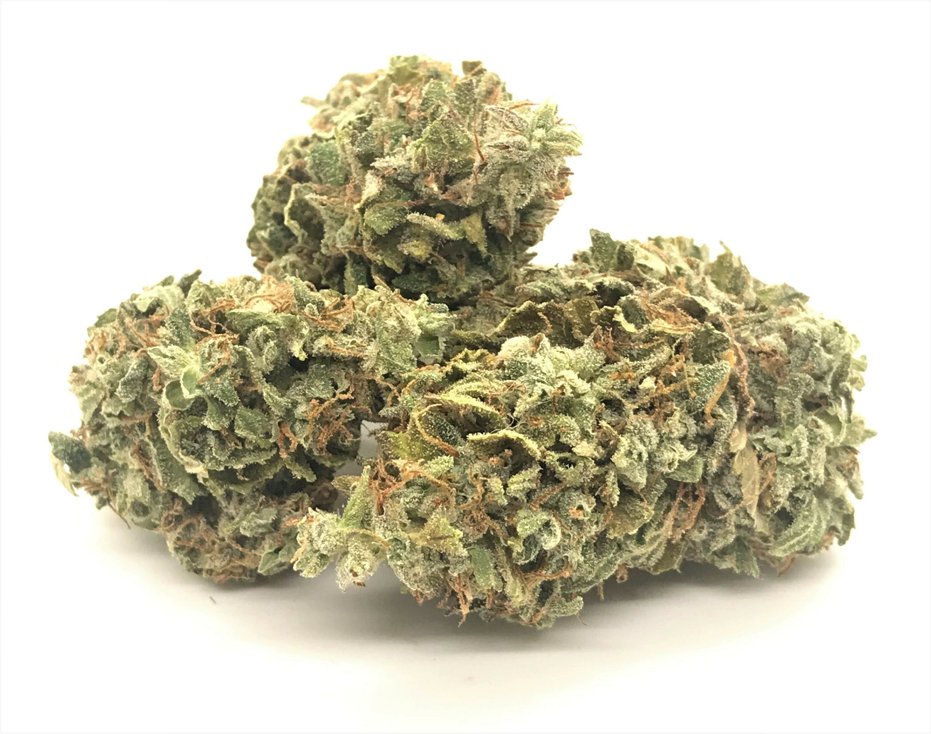 BRUCE BANNER - SOUTH PORT CANNABIS