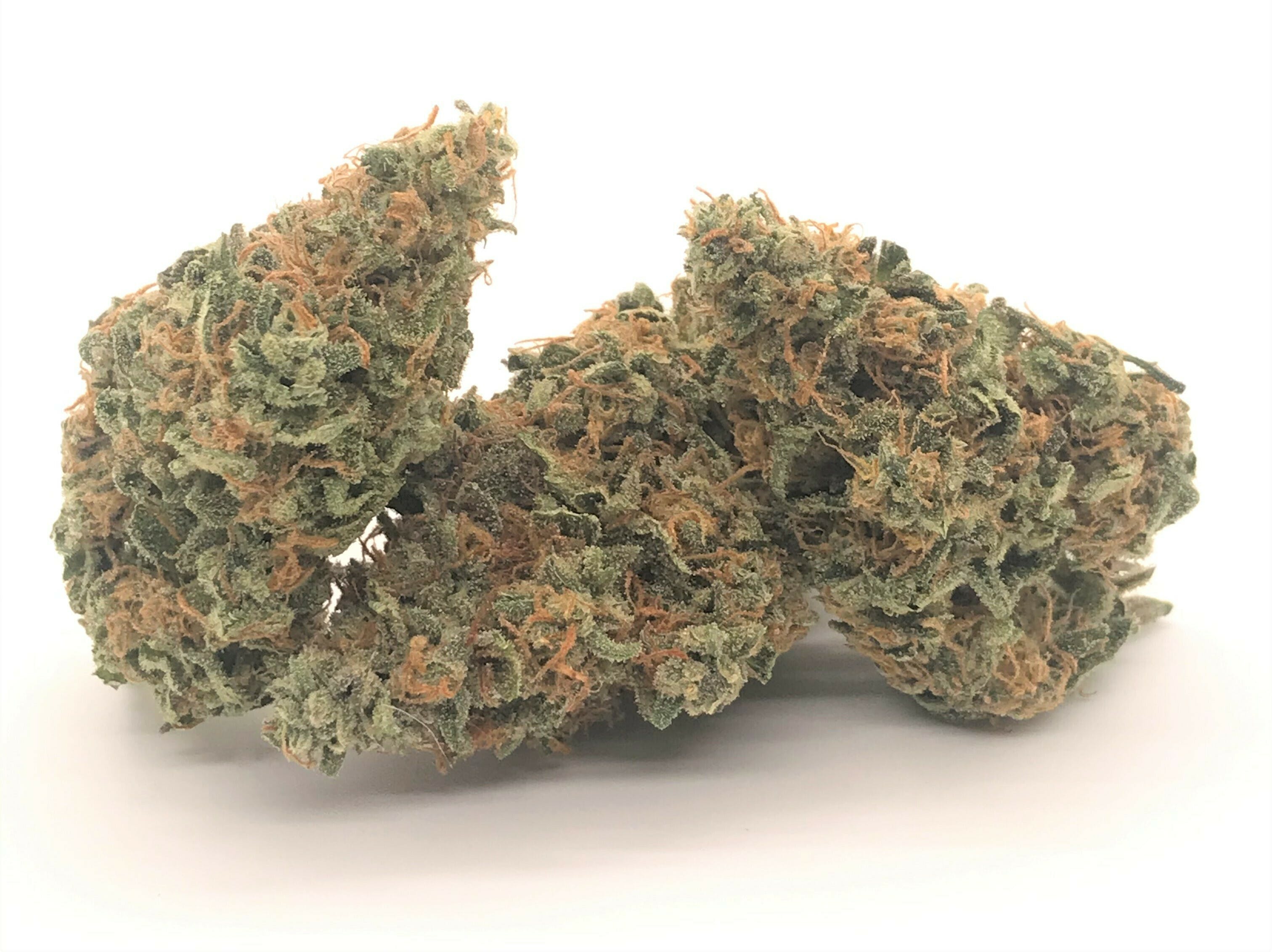 DIESEL - SOUTH PORT CANNABIS