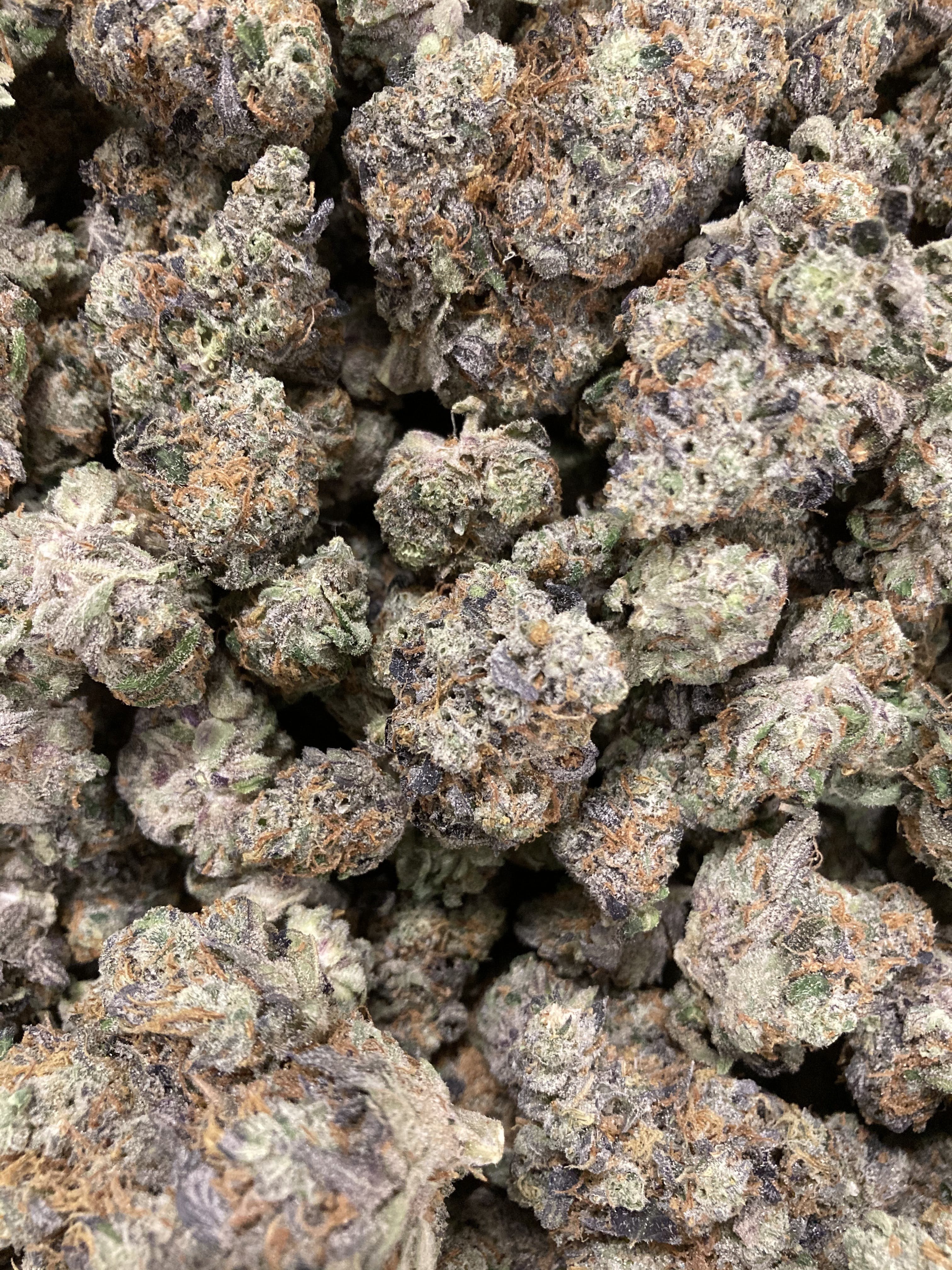 Triple Chocolate Chip