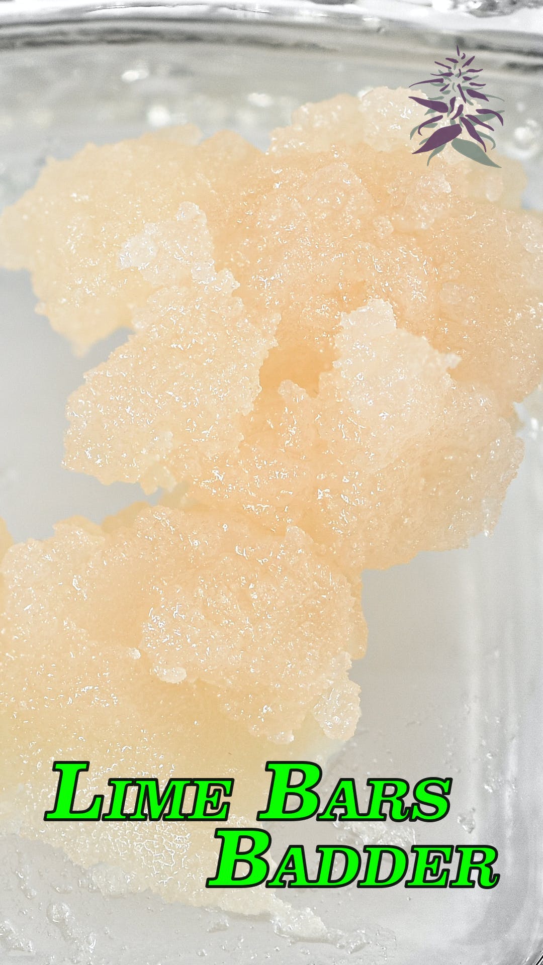 Lime Bars - Badder