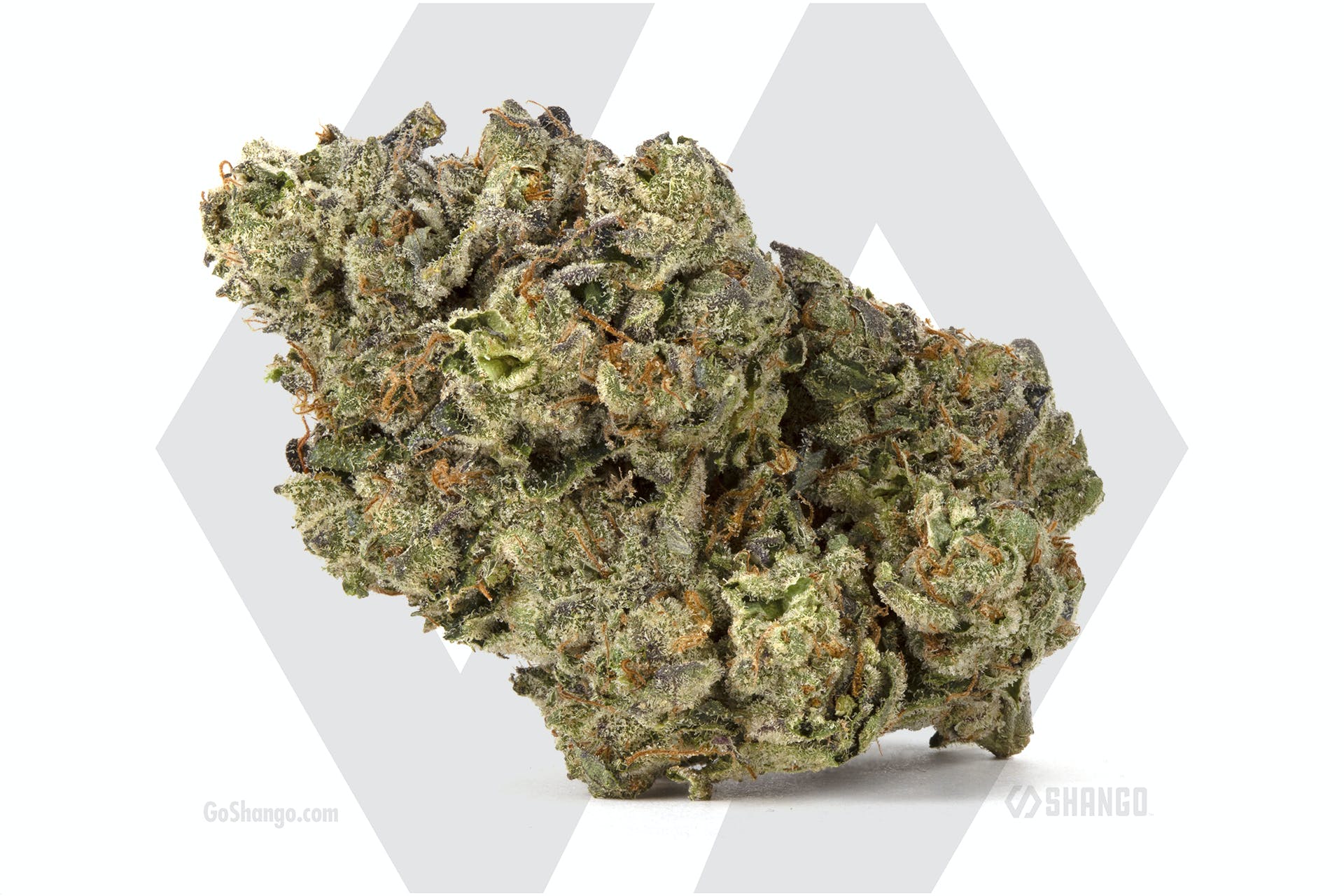 Sherbert X Wedding Cake