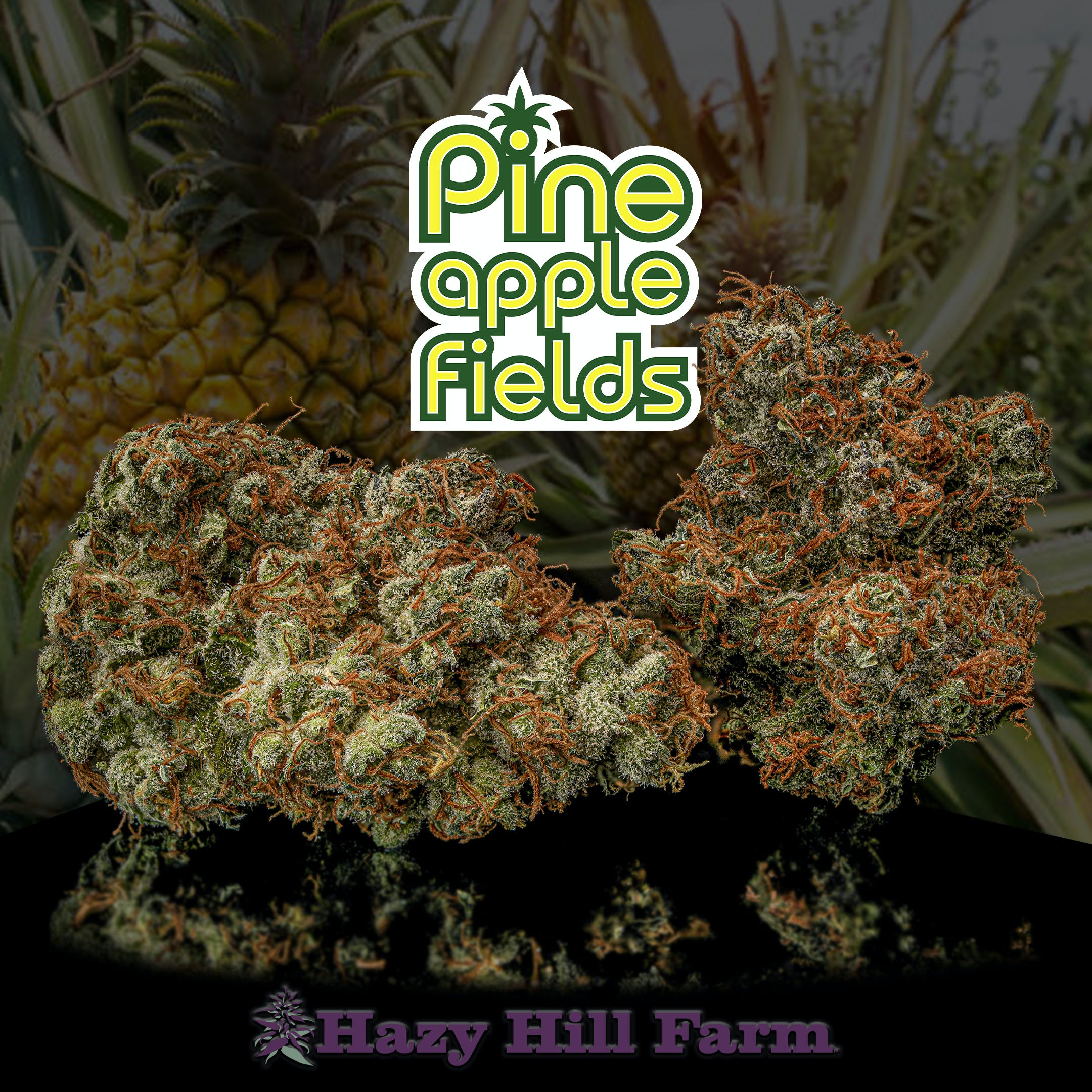 Pineapple Fields