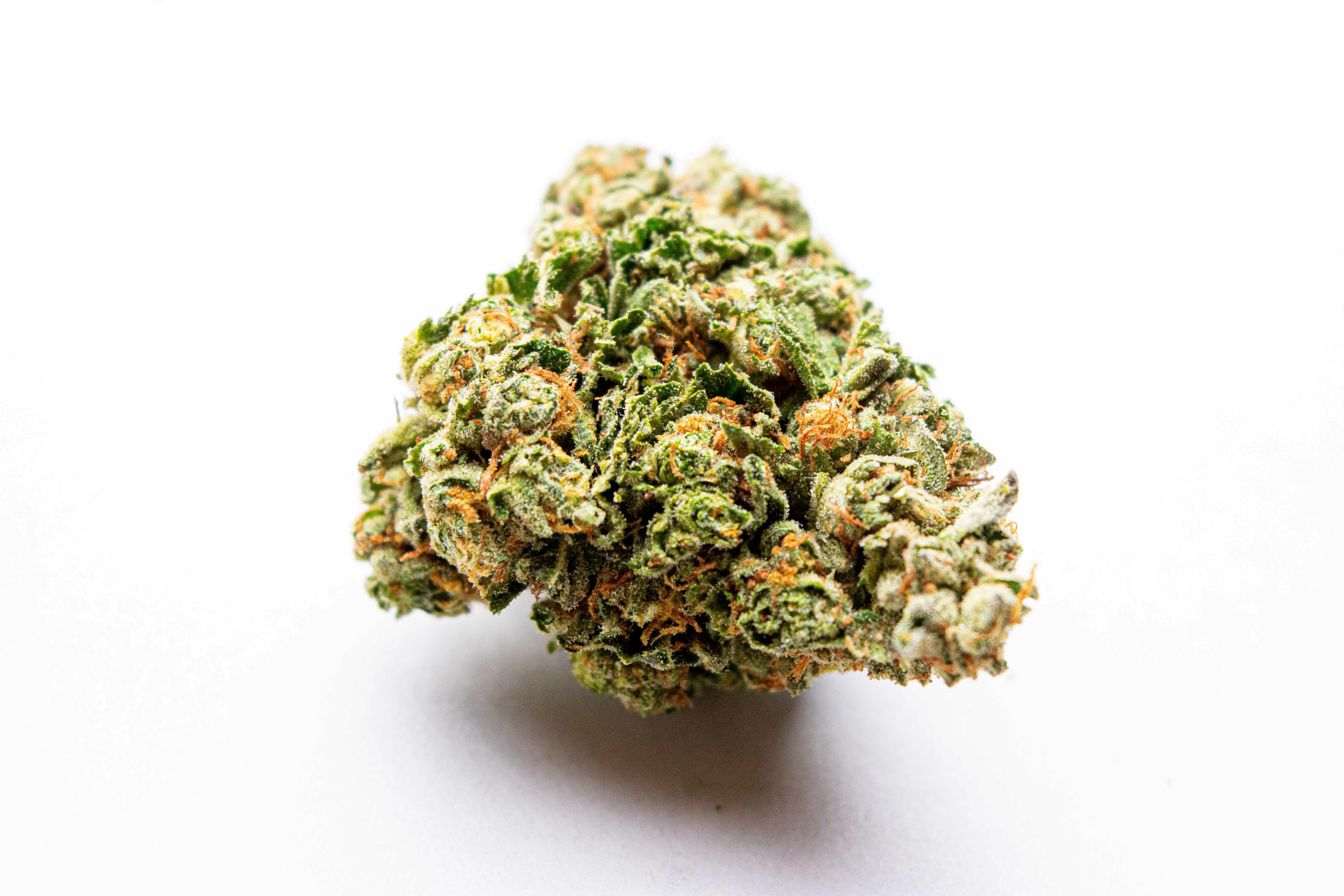 Biscotti 1/2 Ounce/14 Grams (28.47% THC, Indica)