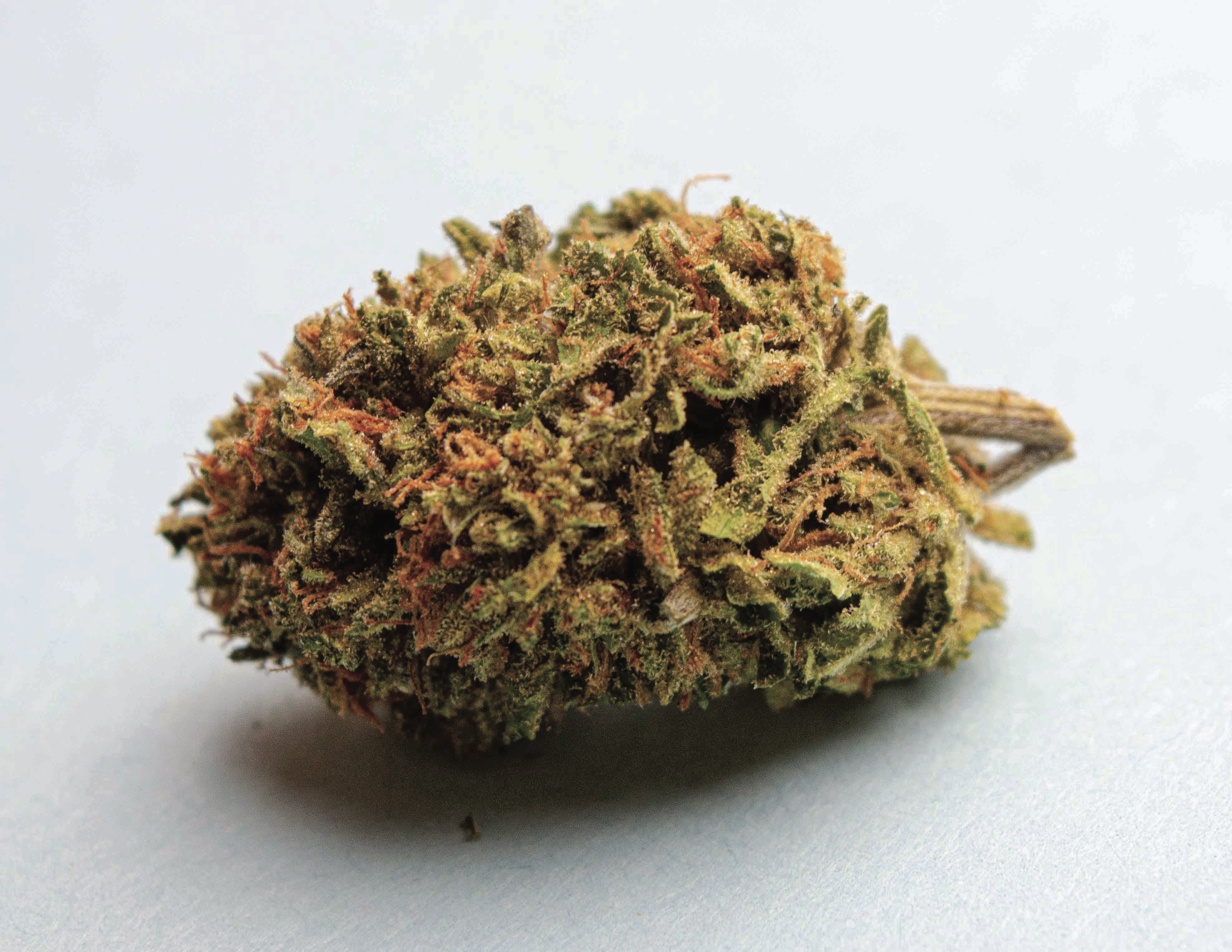 Strawberry G (Sunrise) 8.96% THC/ 17.6% CBD 8TH