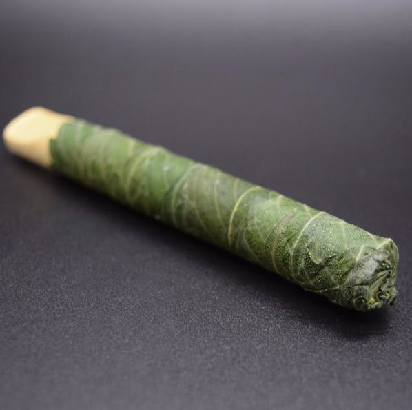 GMO + GMO - Cannon - Cannawrap