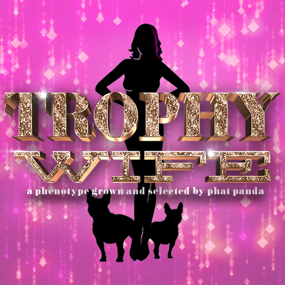 Trophy Wife - Preroll