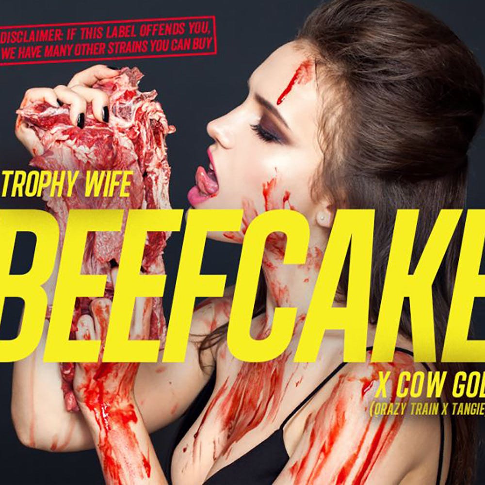 Beef Cake - Mega Roll (10g)