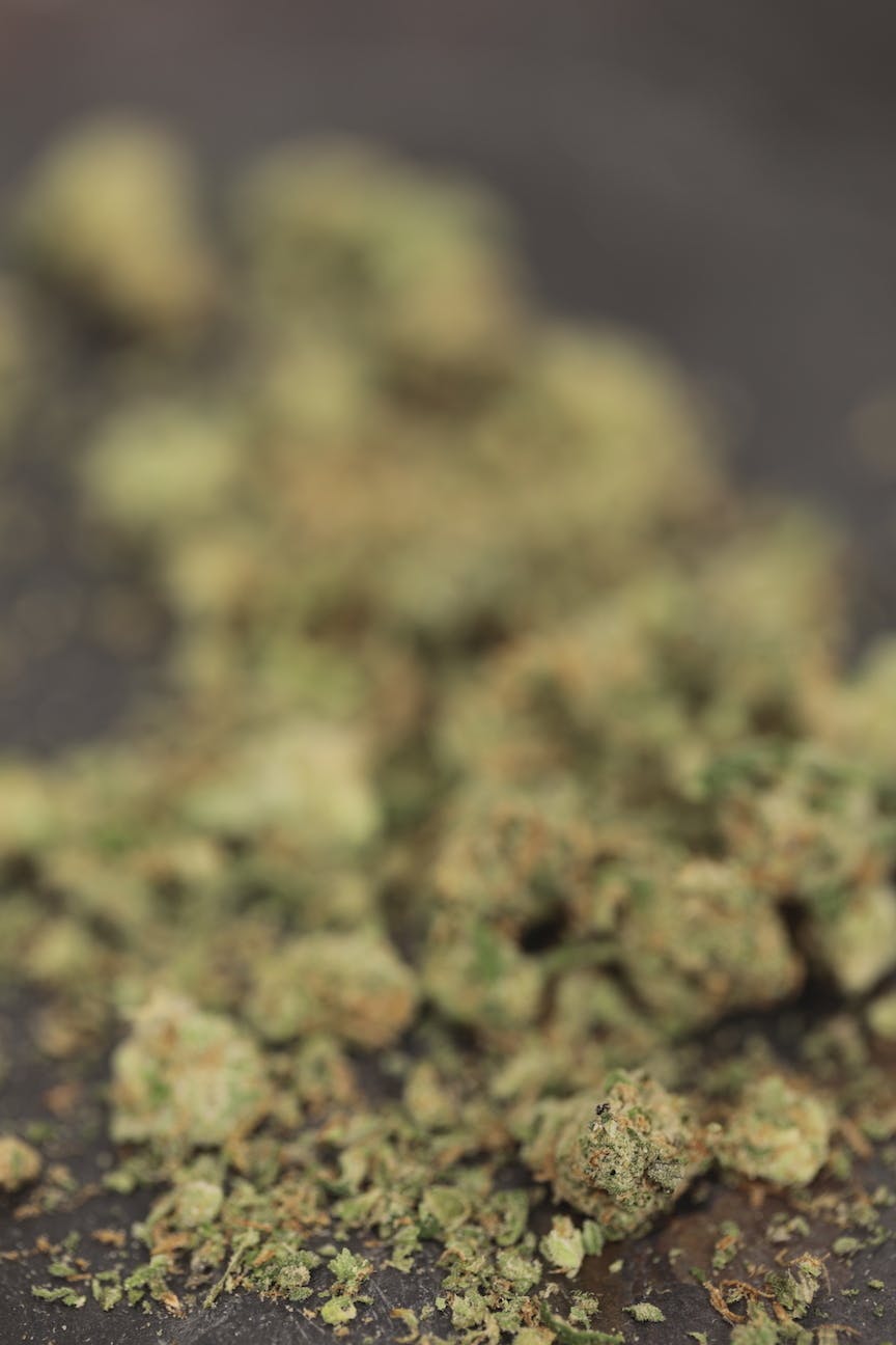 BlueDream SourJack Small Bud/Shake 14g