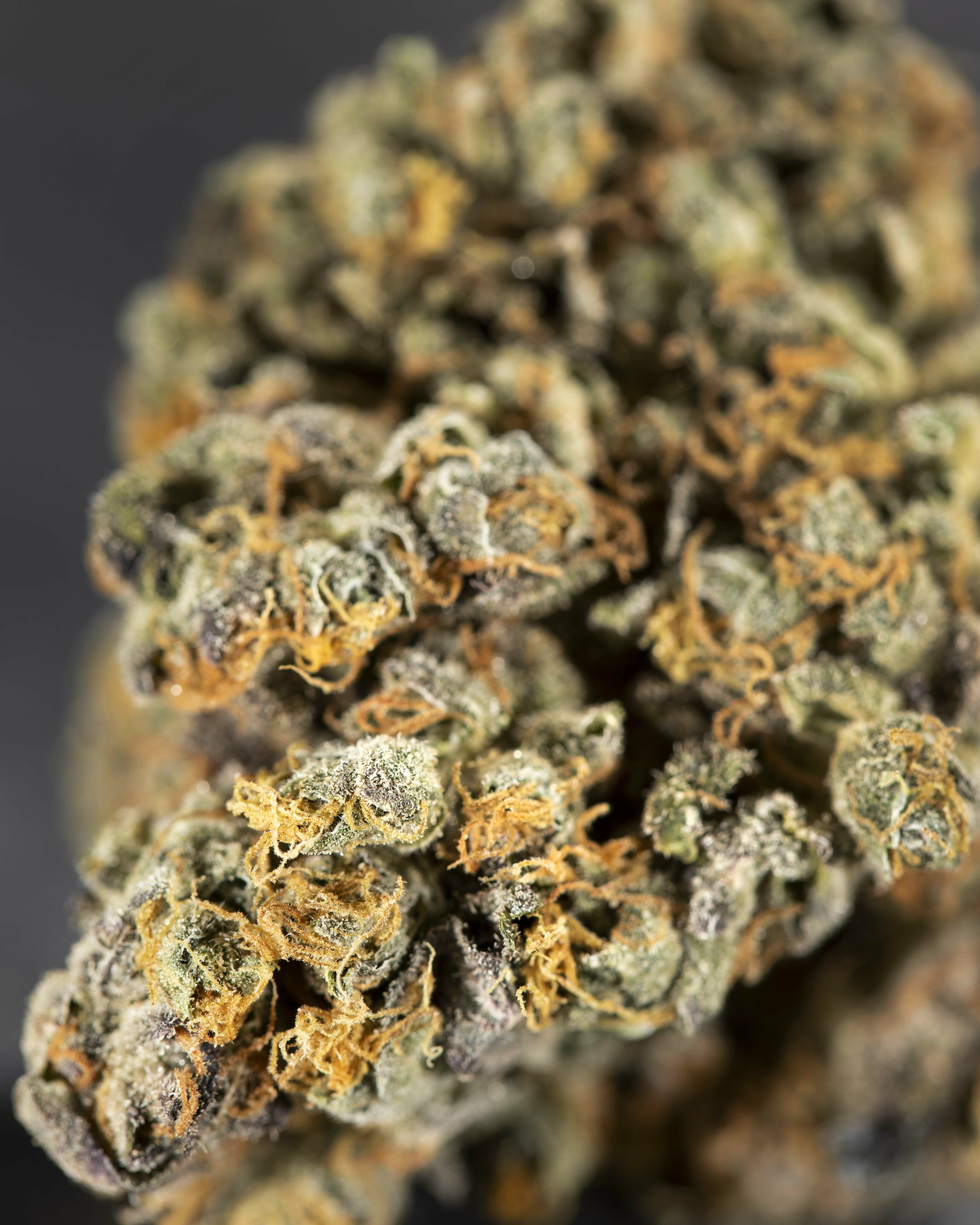 Gorilla Glue #1 (7 grams)