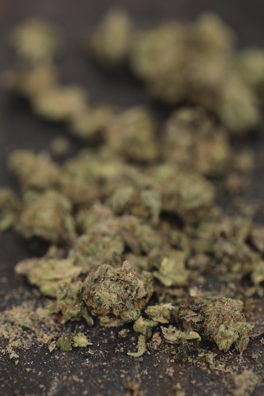 Gorilla Glue #1 Small Bud/Shake 14 grams