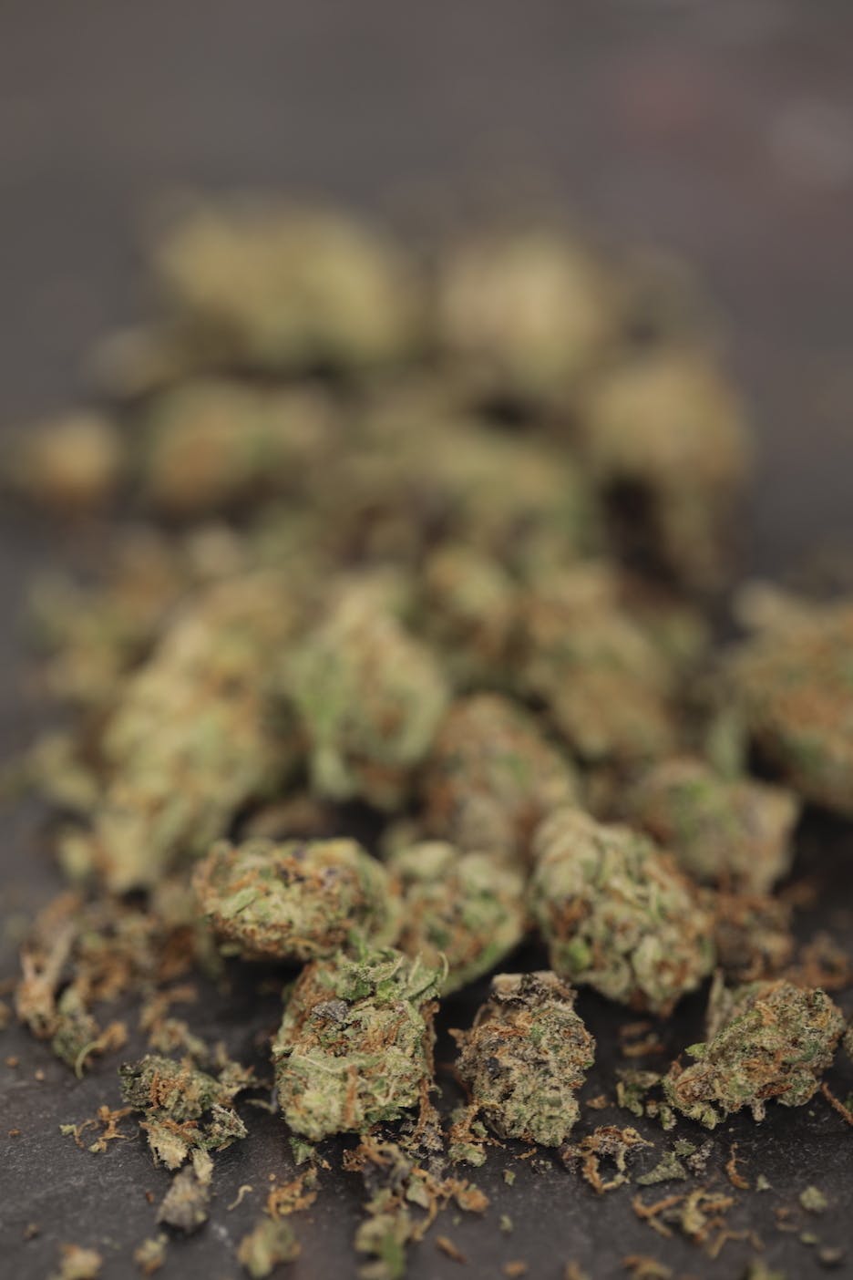 Triple Chocolate Chip Small Bud/ Shake 14 grams