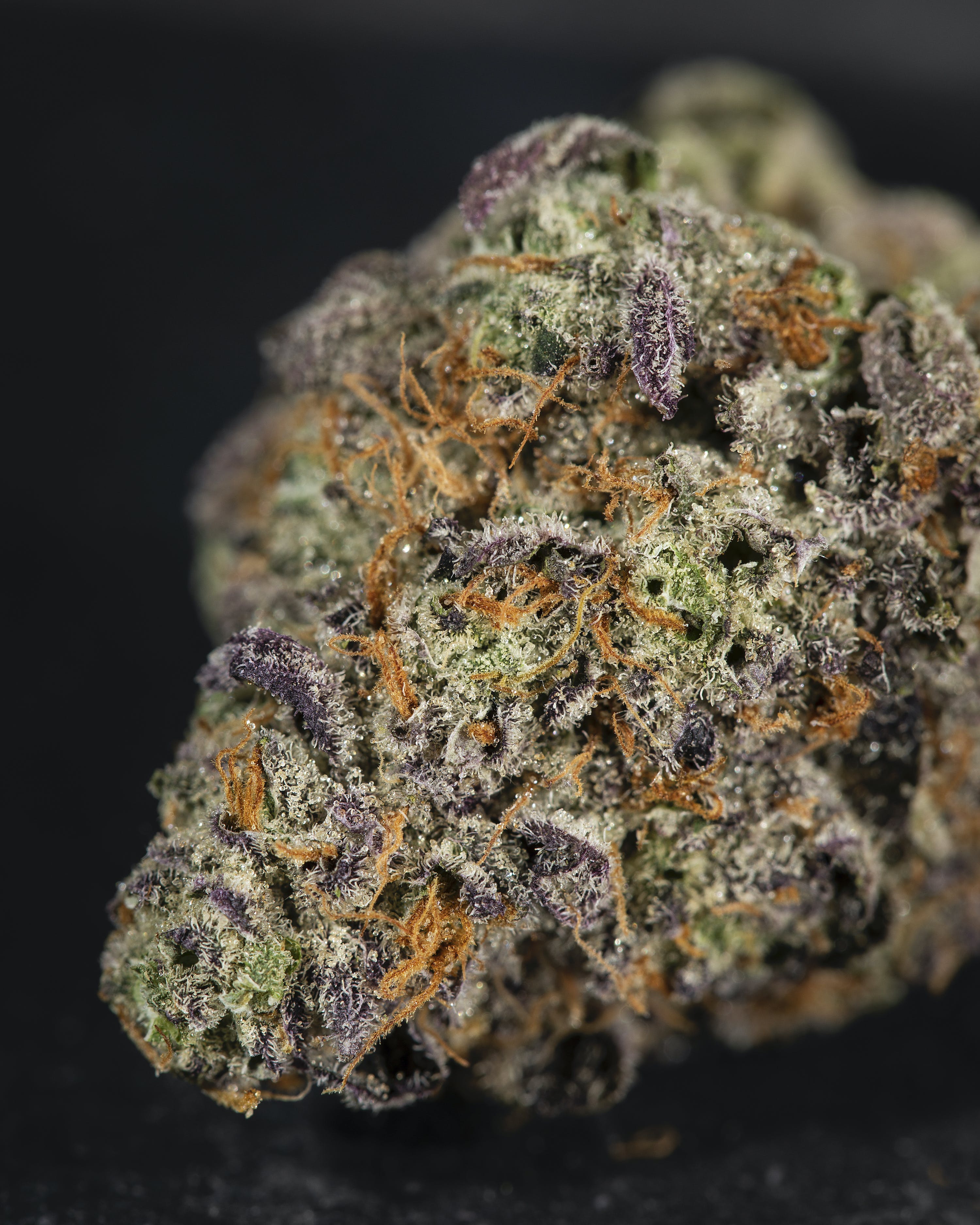 Peanut Sundae 7 grams