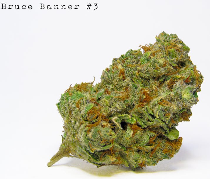 Bruce Banner #3