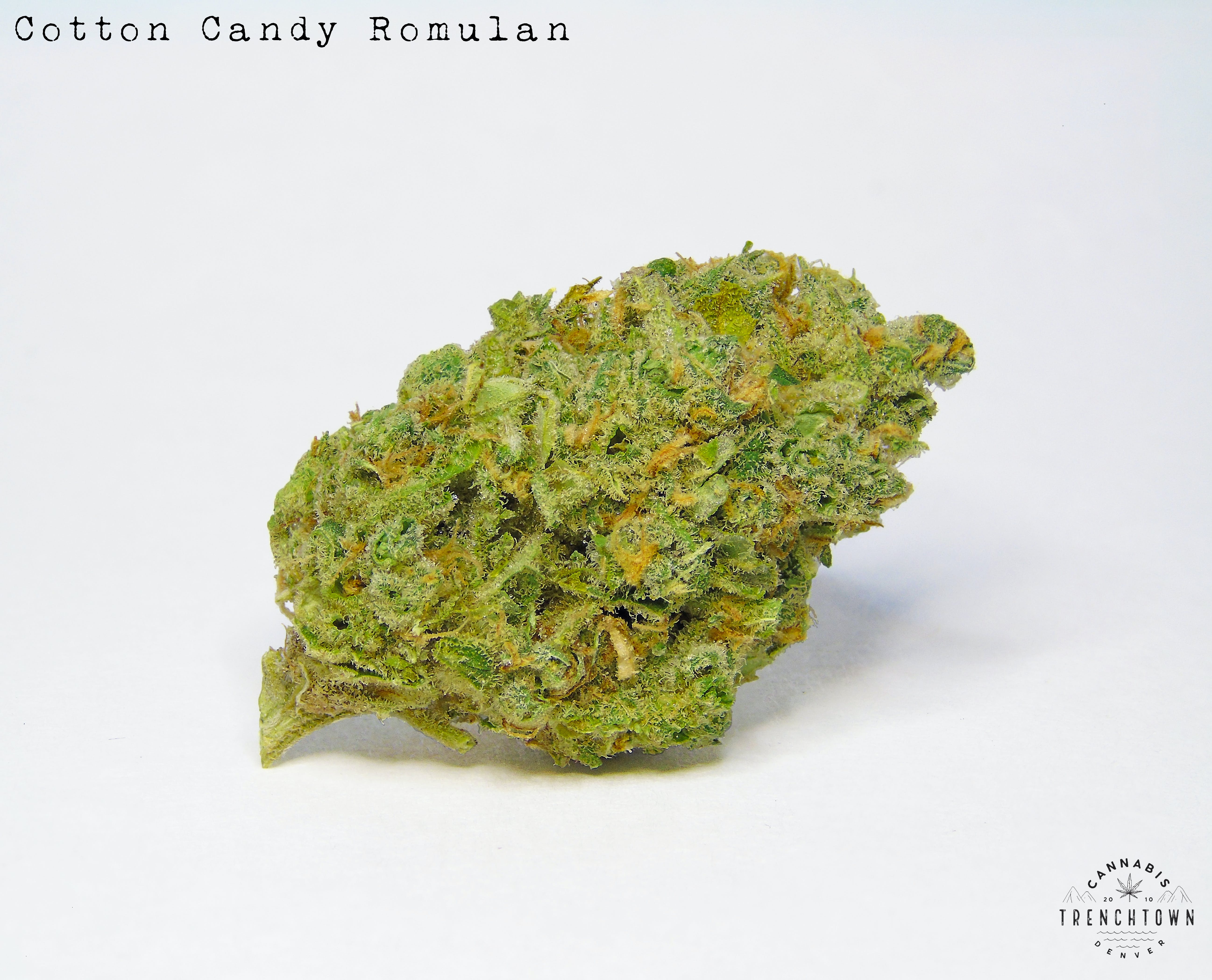 Cotton Candy Romulan