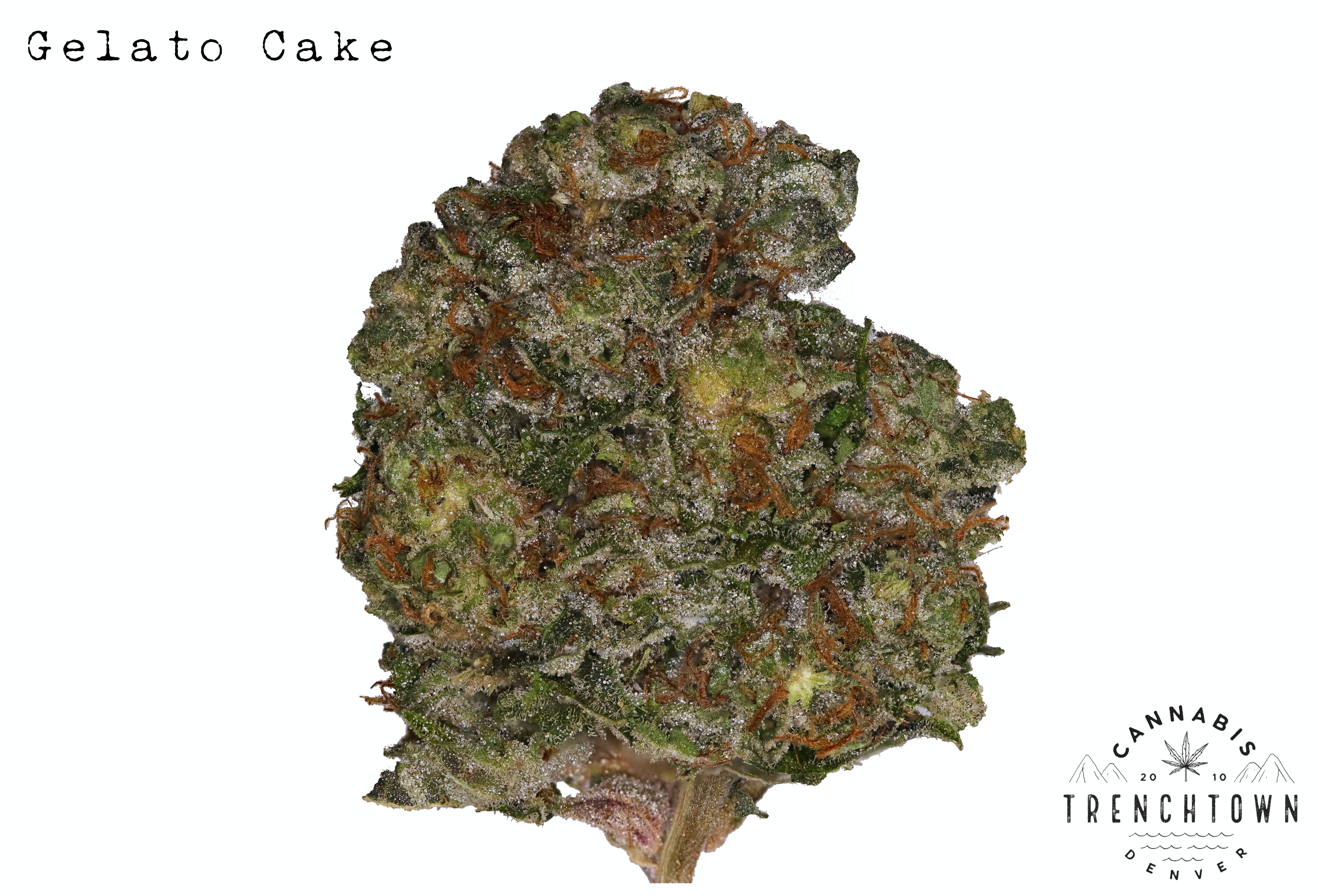 Gelato Cake