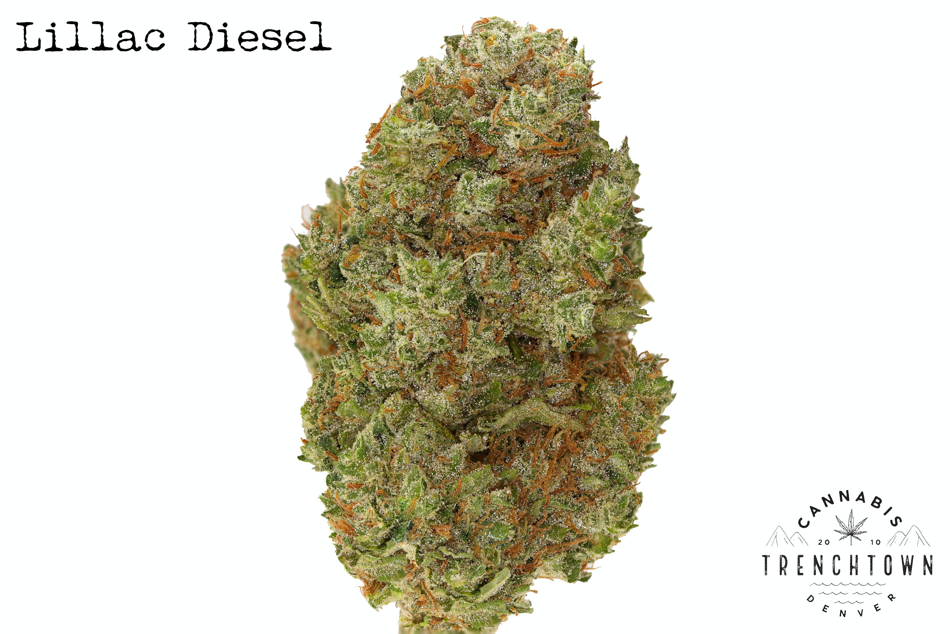 Lilac Diesel