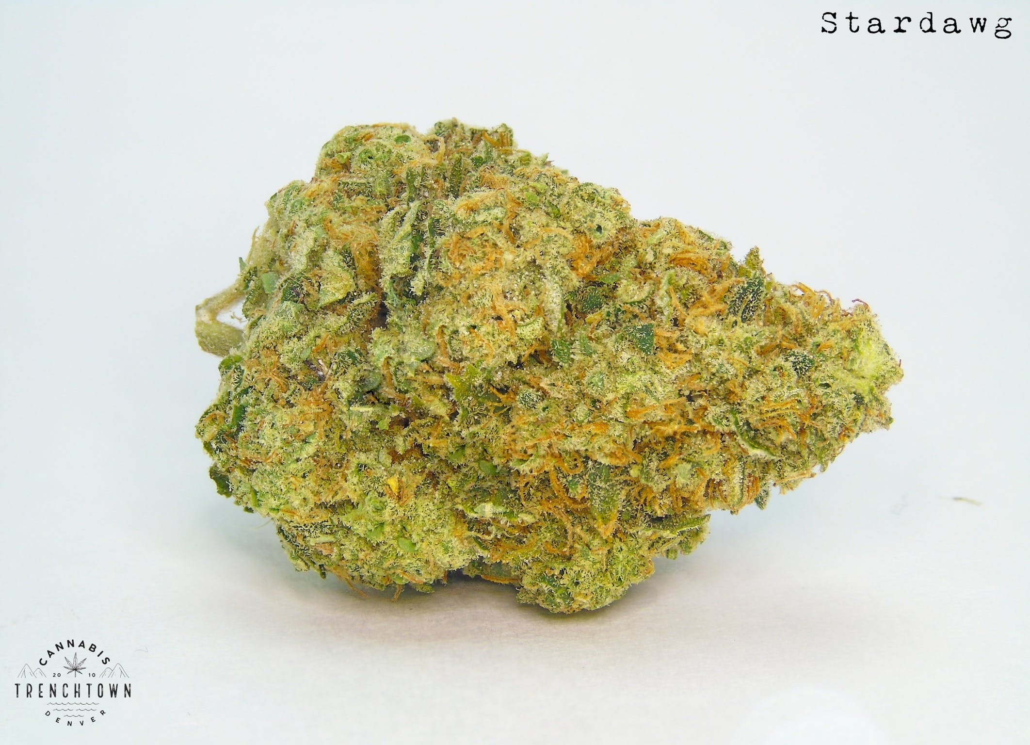Stardawg