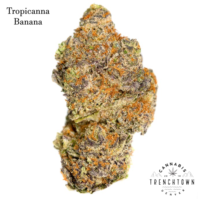 Tropicana Banana