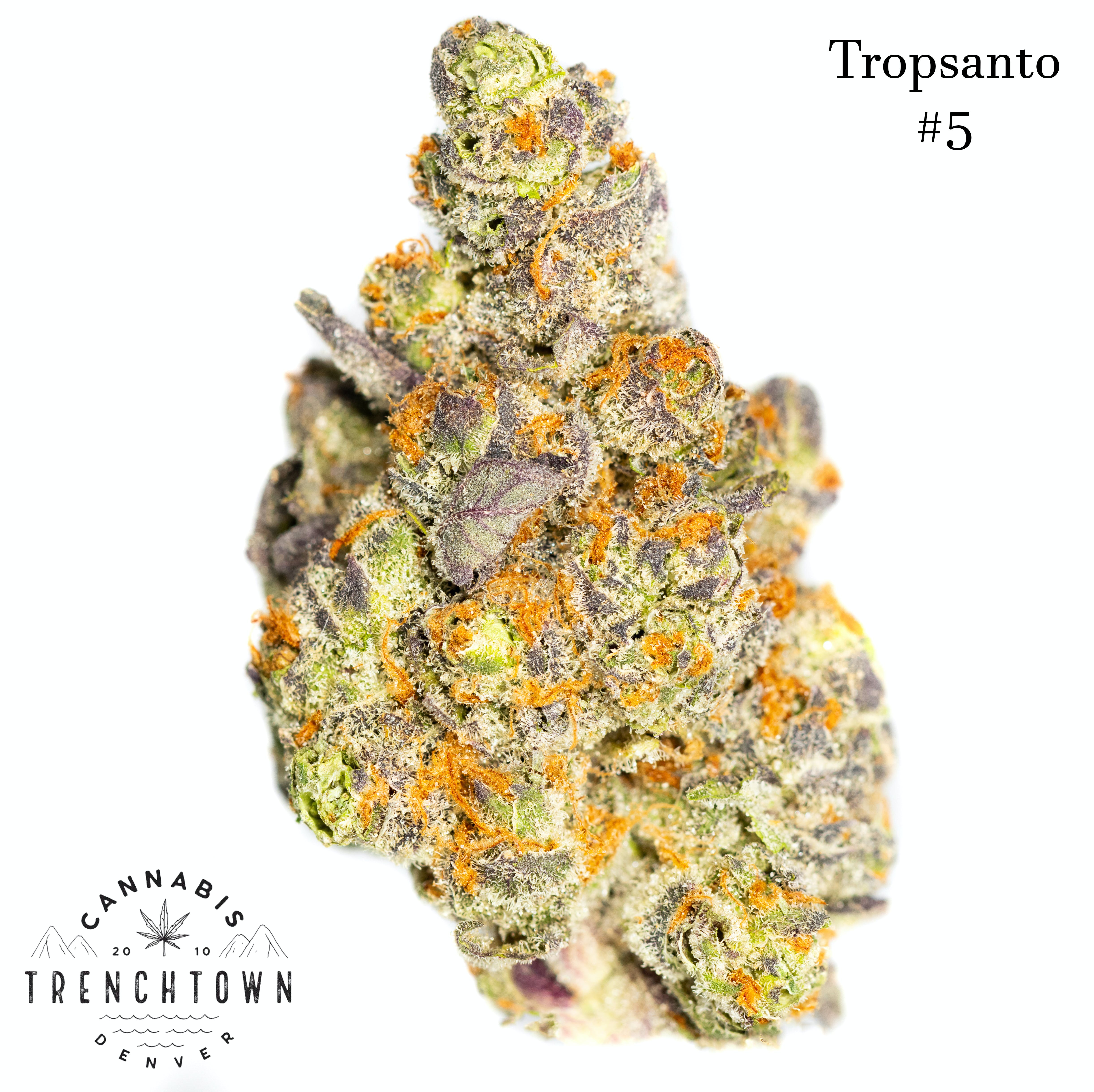 Tropsanto #5