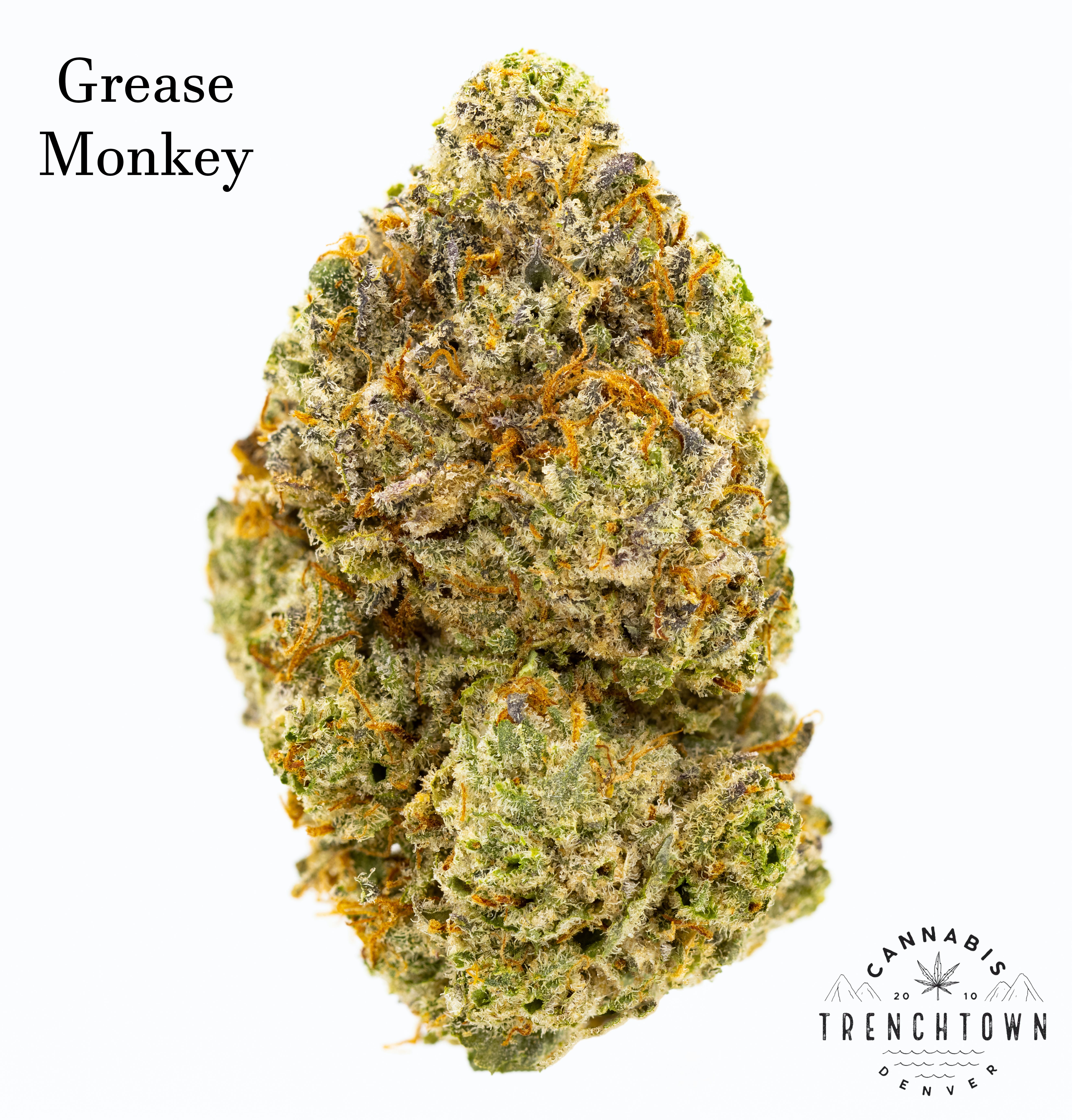 Grease Monkey