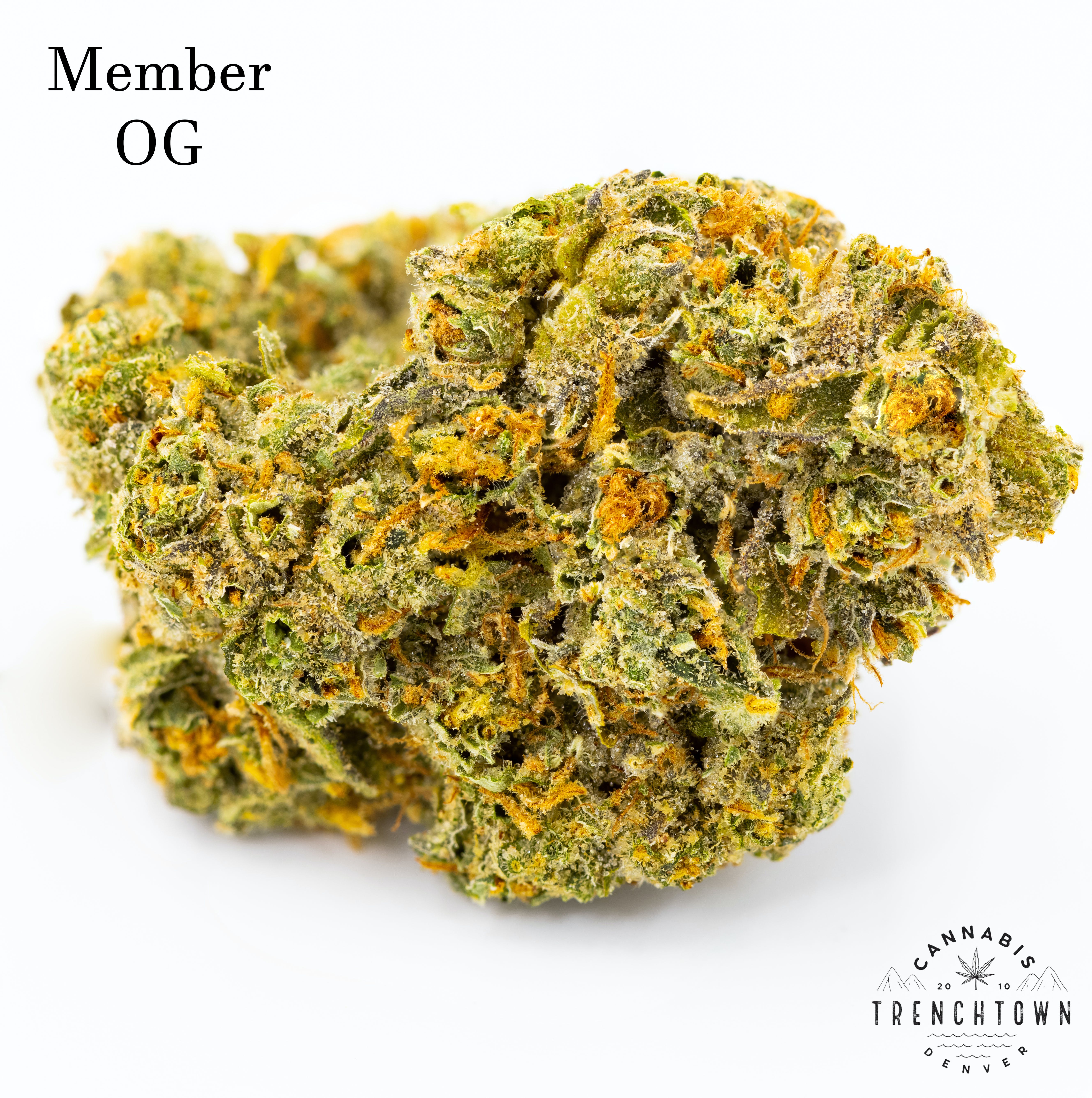 Member OG