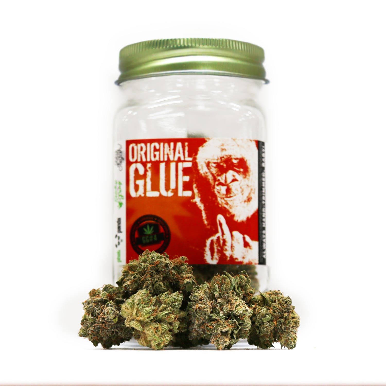 Original Glue (GG4)