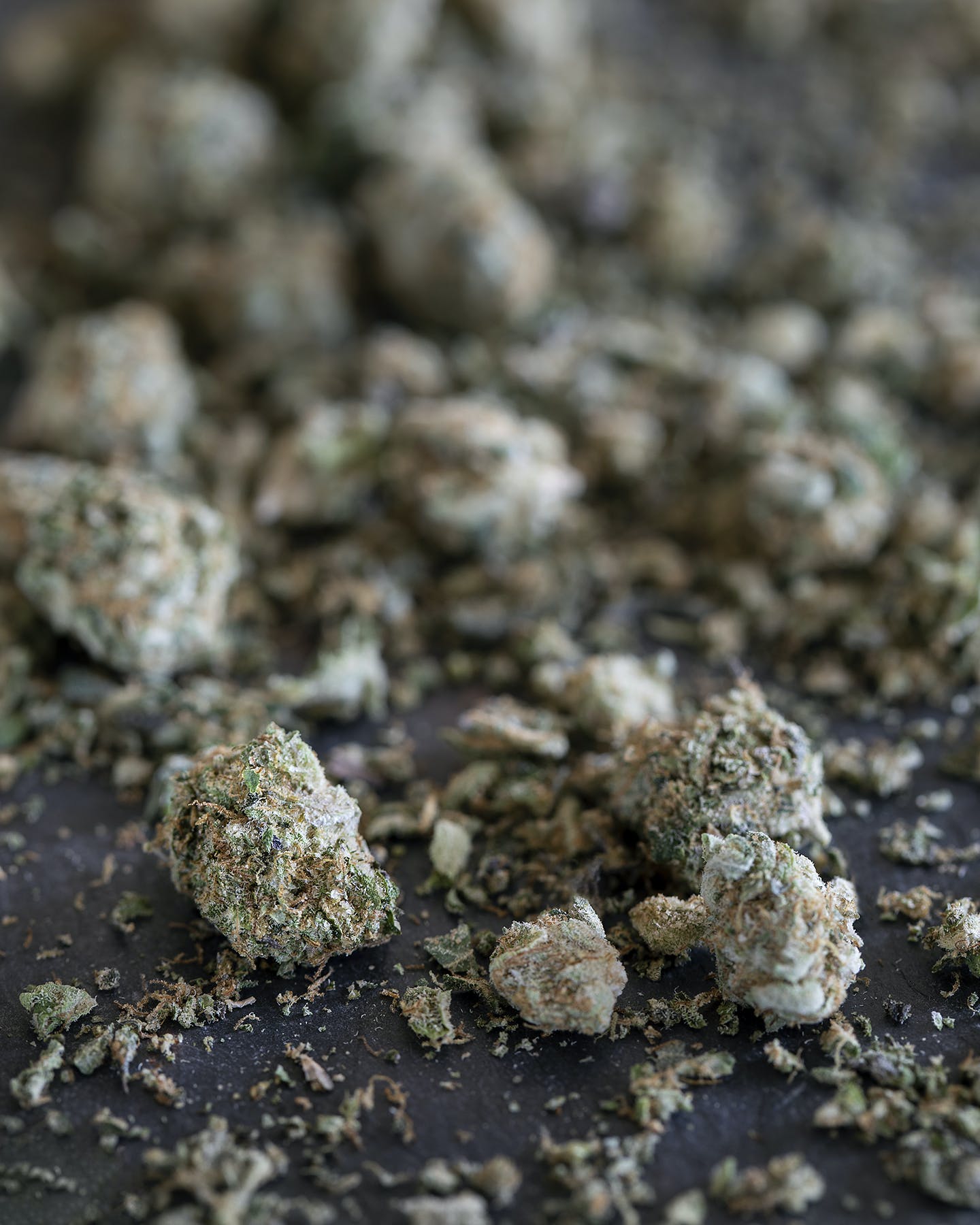 Wedding Cake Small Bud Shake 14 grams