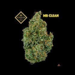 Mr. Clean 1oz